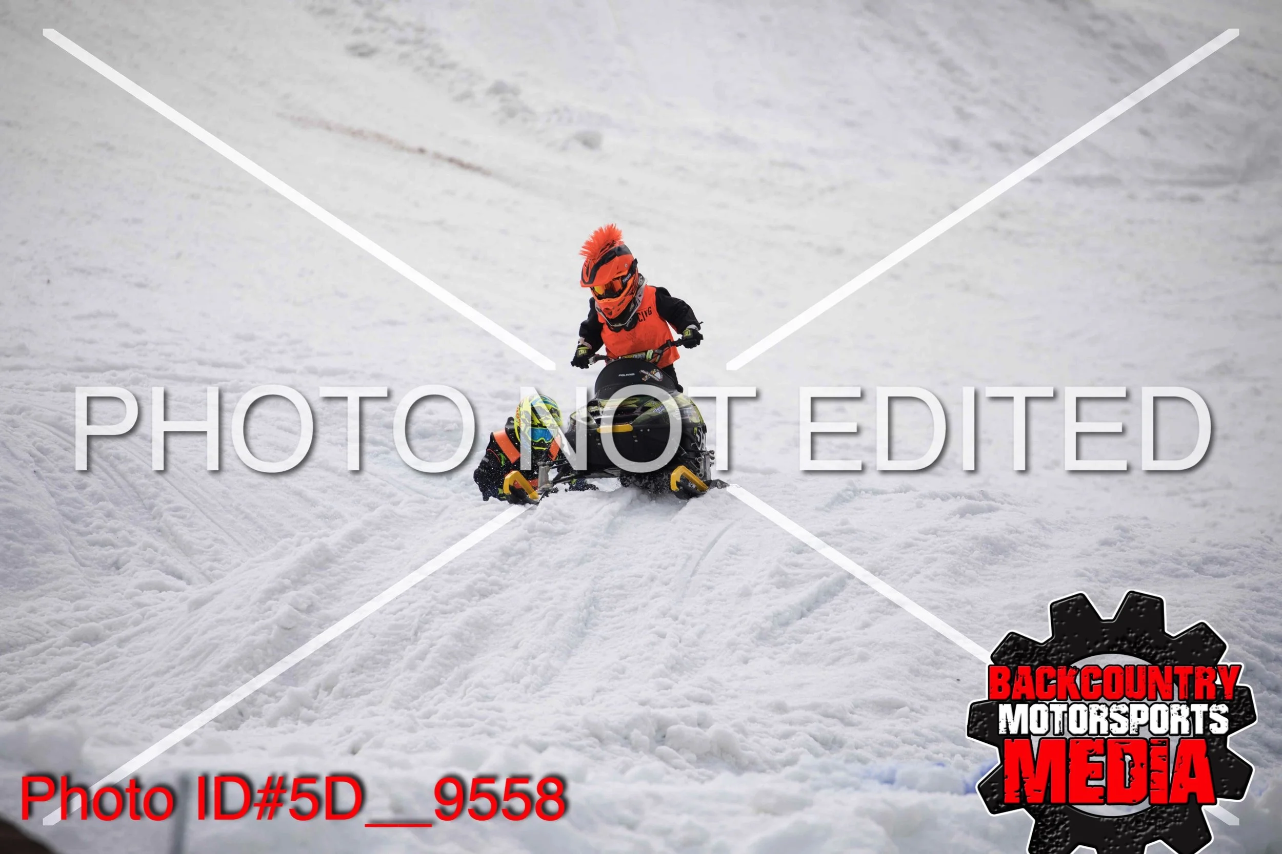 5D__9558.jpg