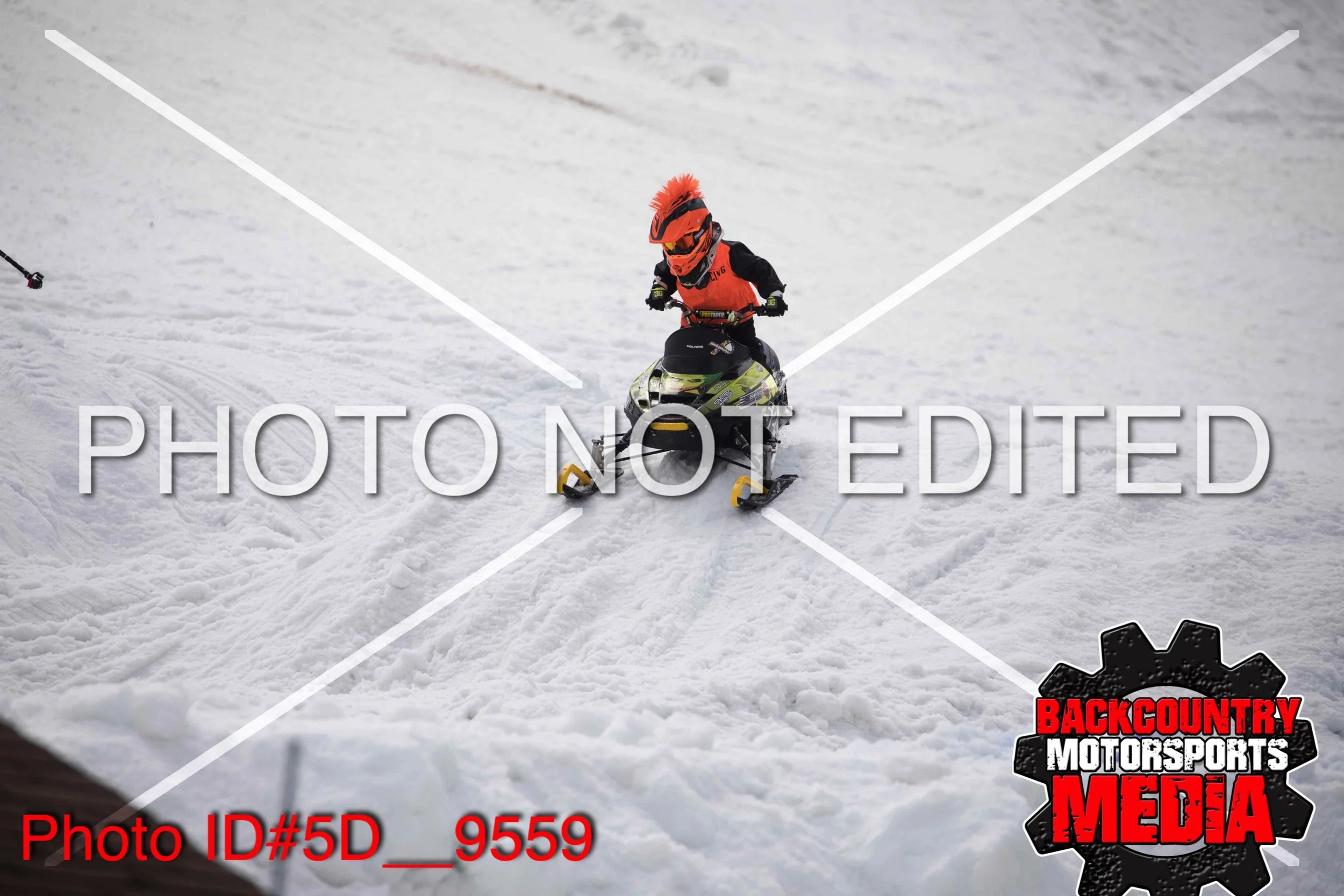 5D__9559.jpg