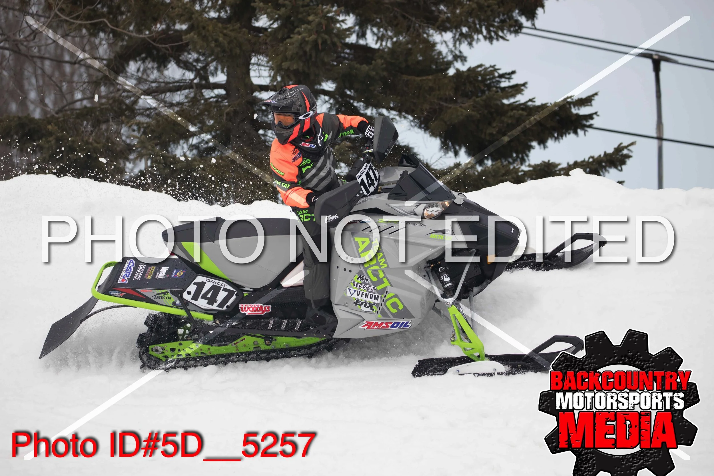 5D__5257.jpg