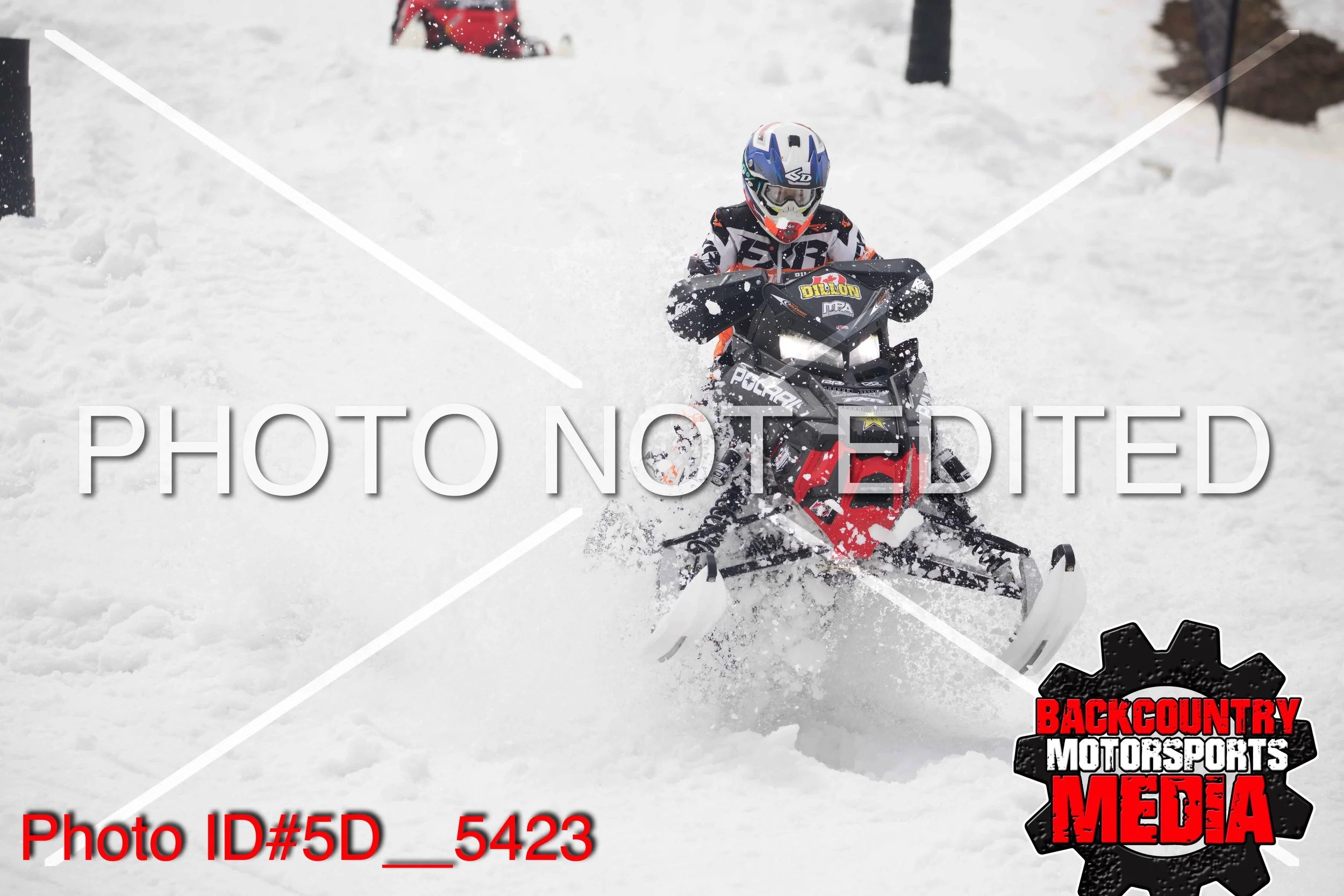 5D__5423.jpg