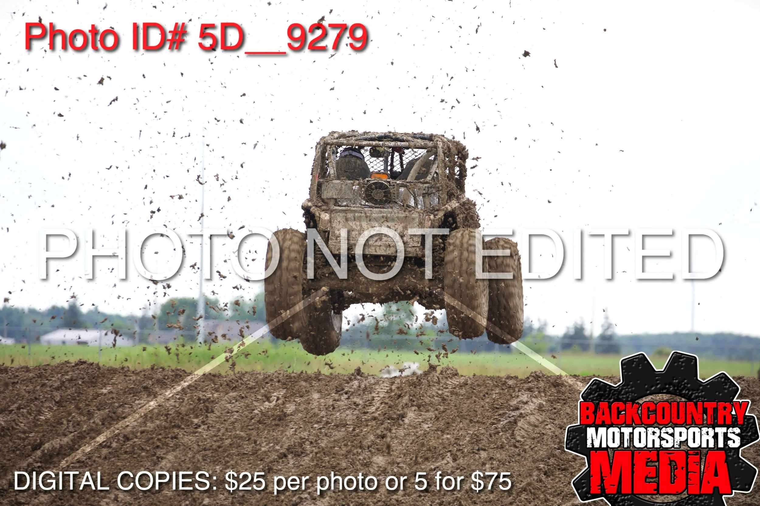 5D__9279.jpg