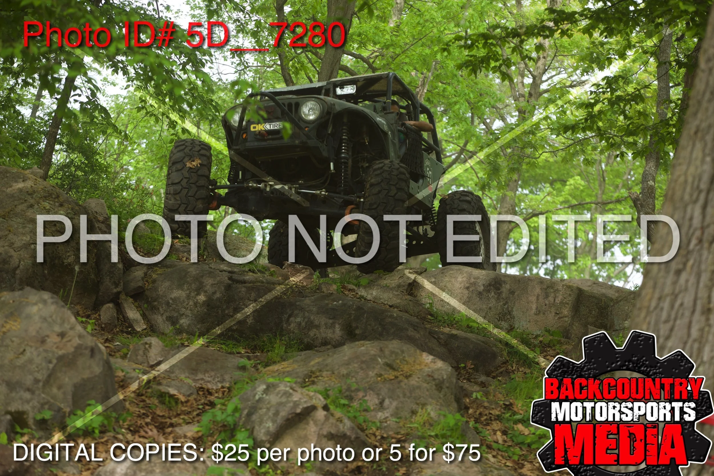 5D__7280.jpg