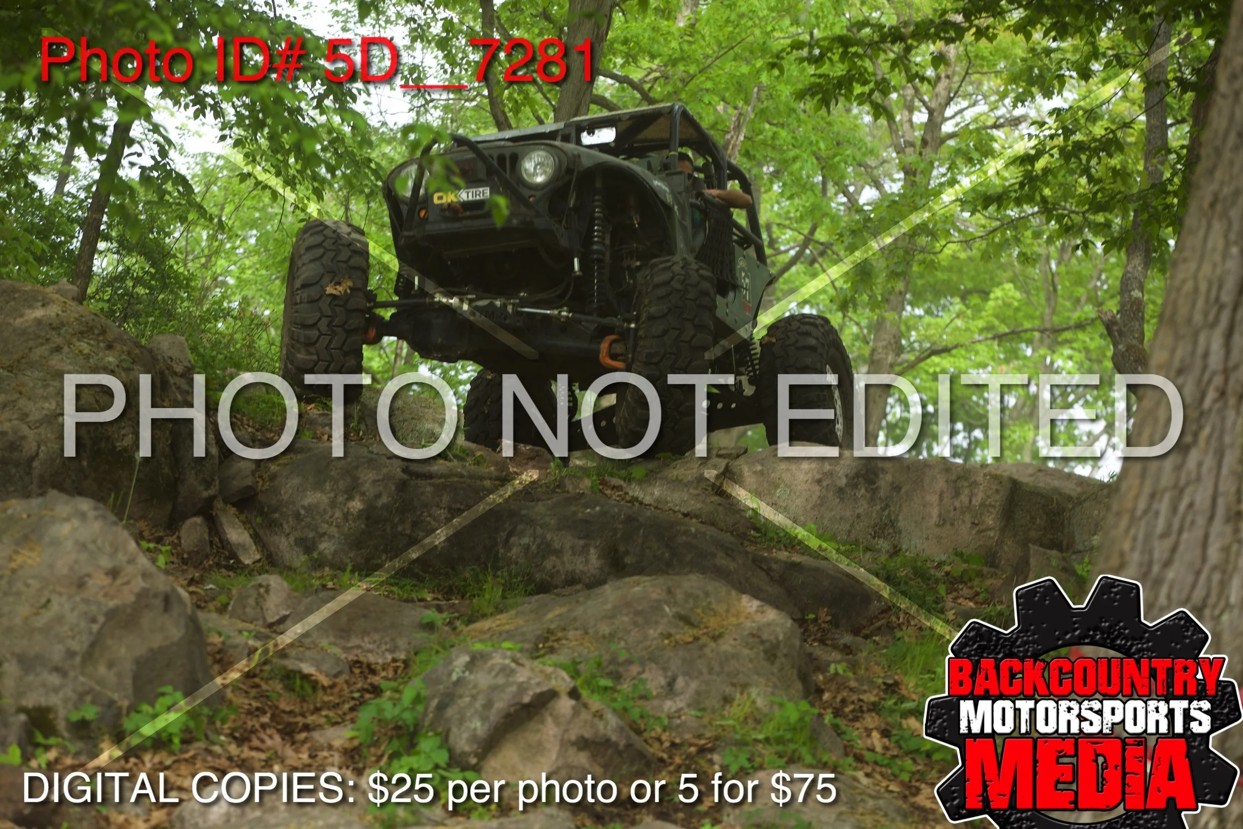5D__7281.jpg