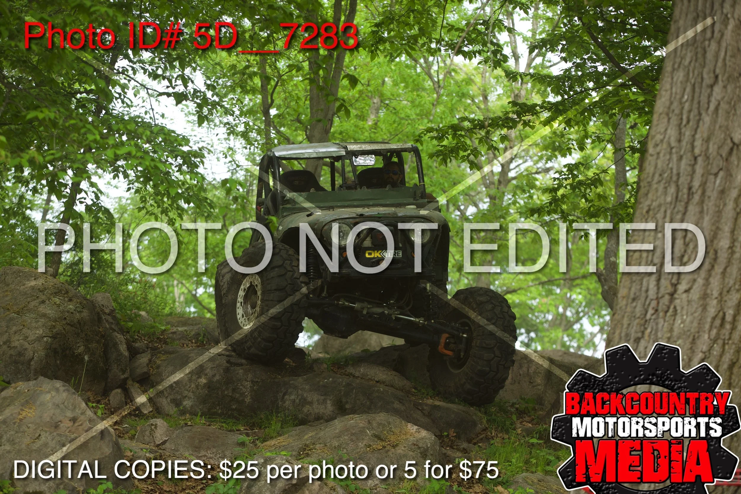5D__7283.jpg