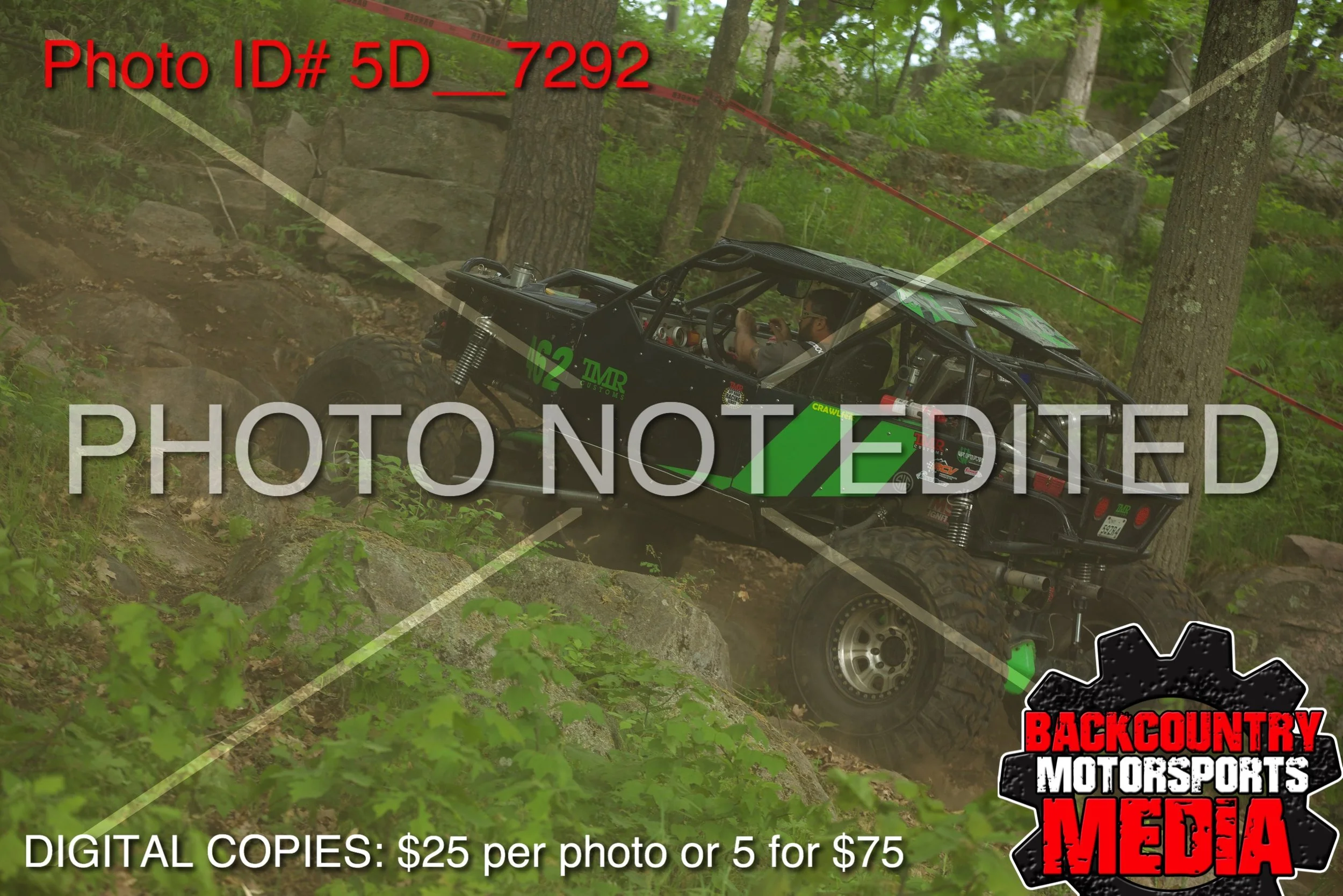 5D__7292.jpg