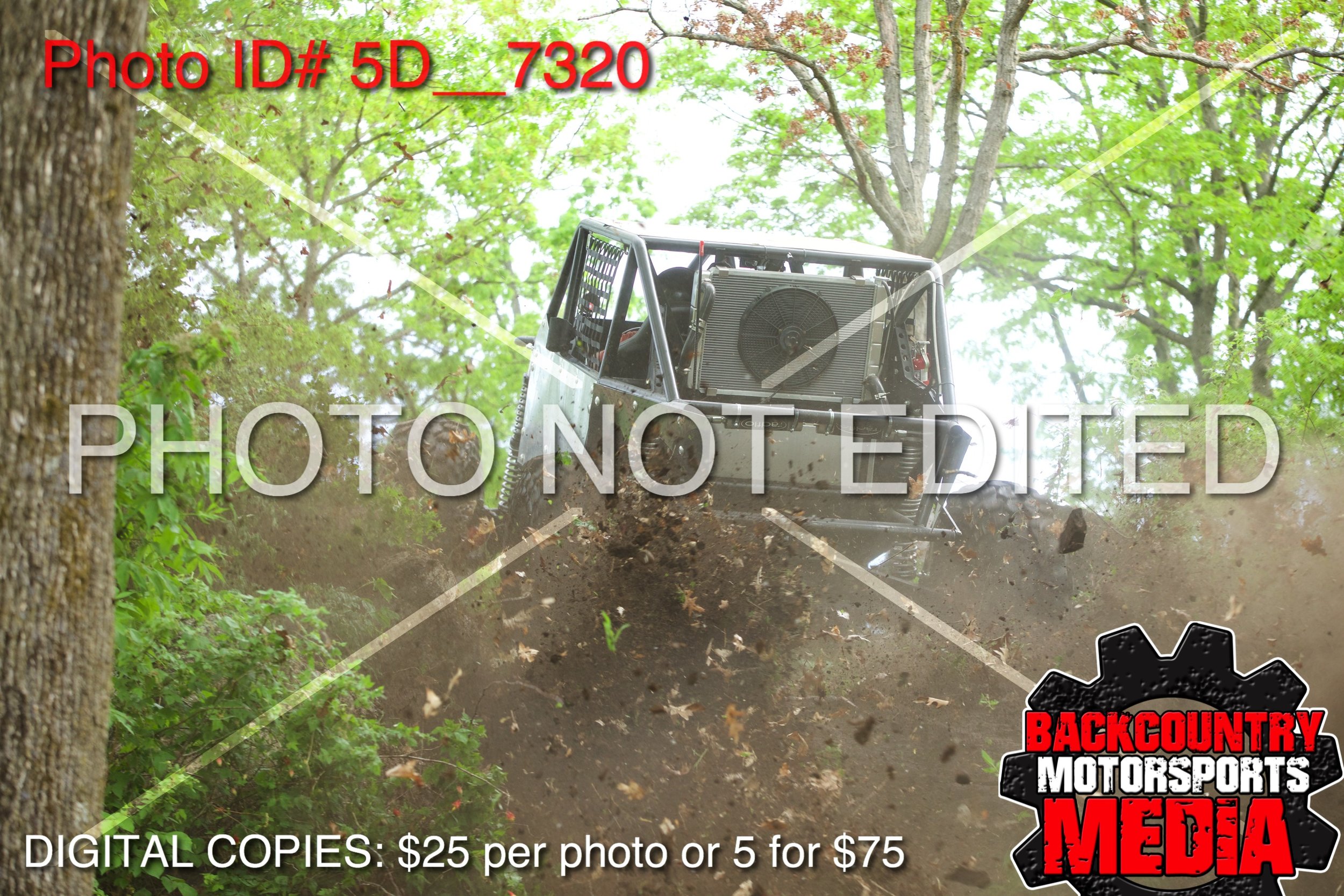 5D__7320.jpg