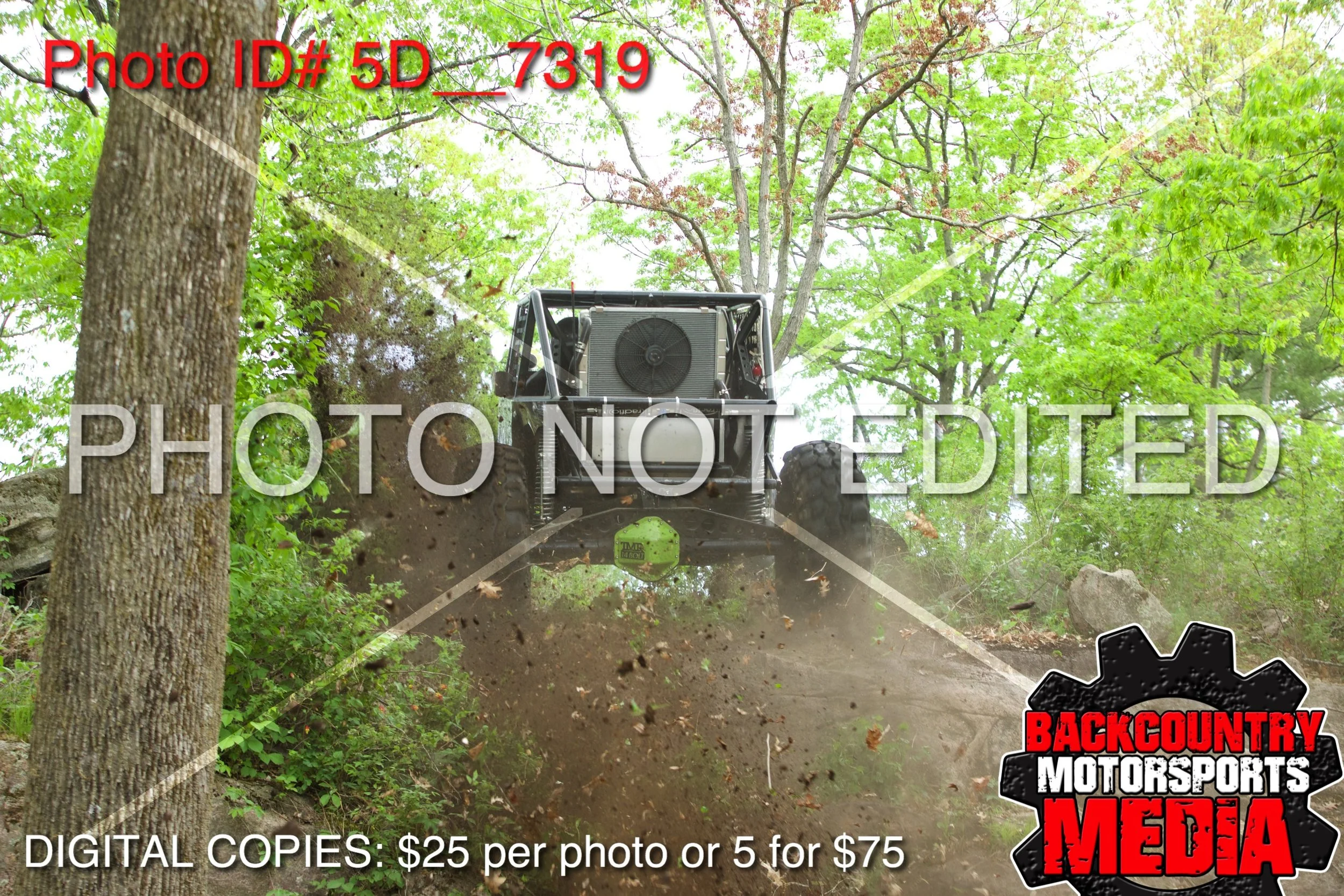 5D__7319.jpg