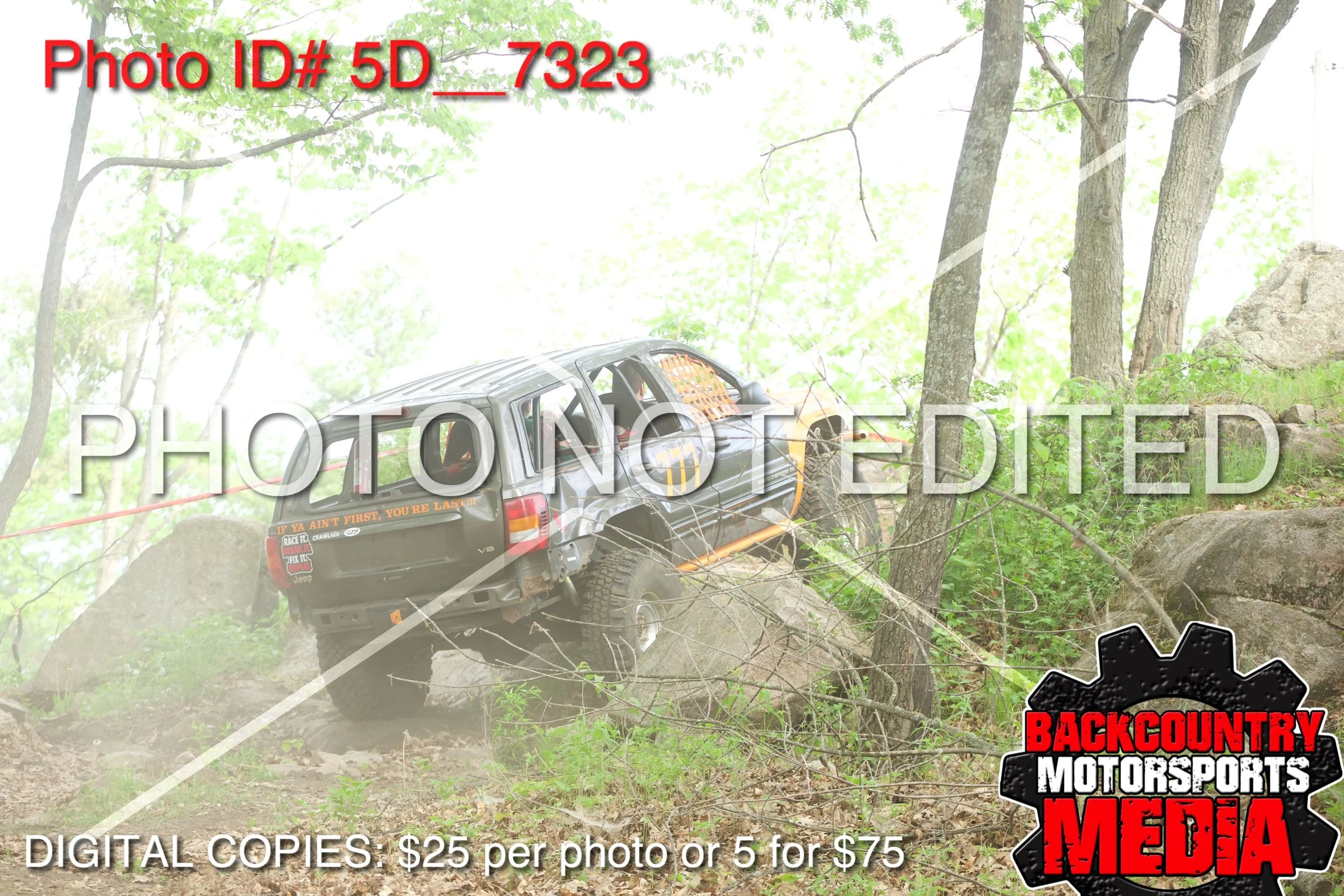 5D__7323.jpg