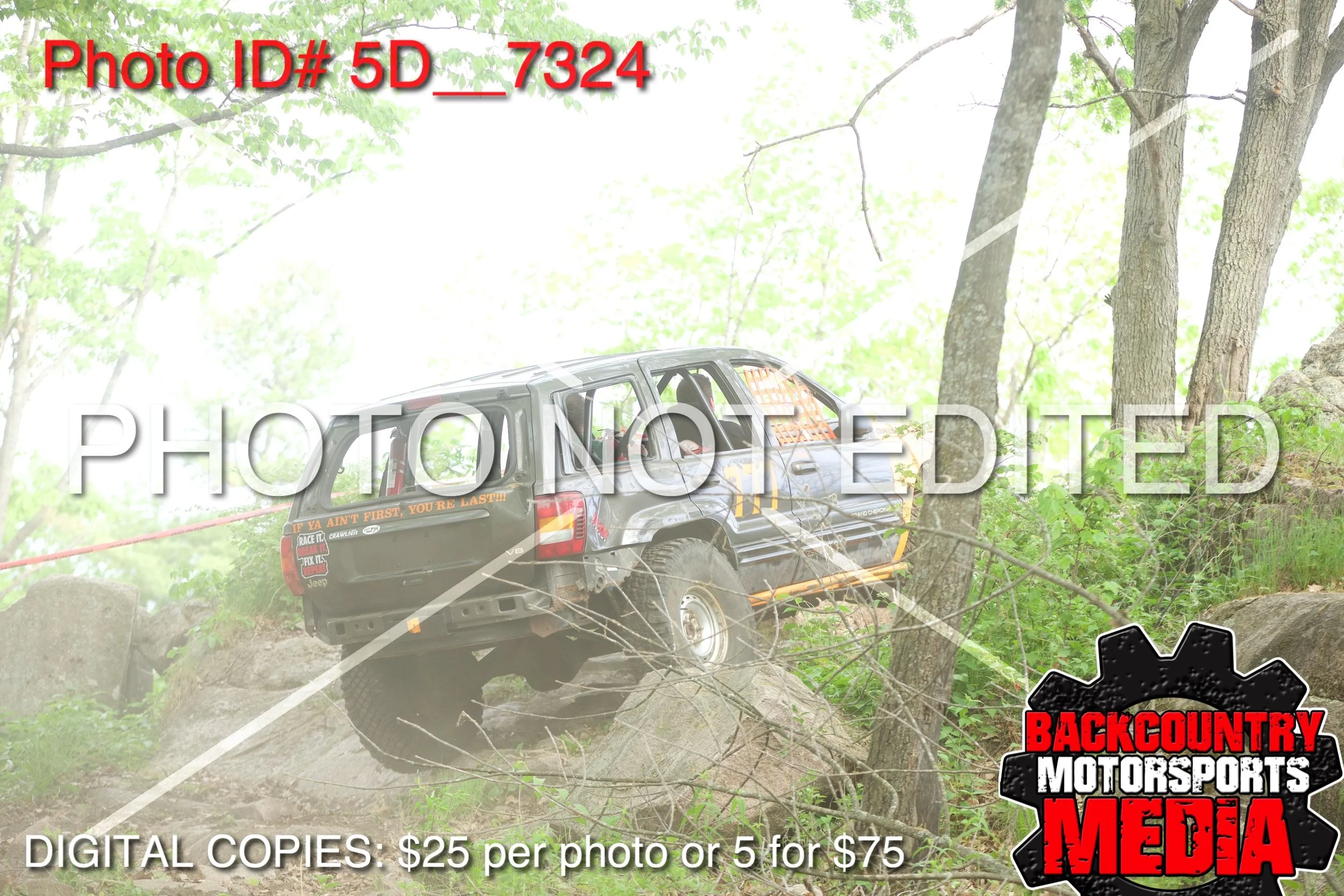 5D__7324.jpg