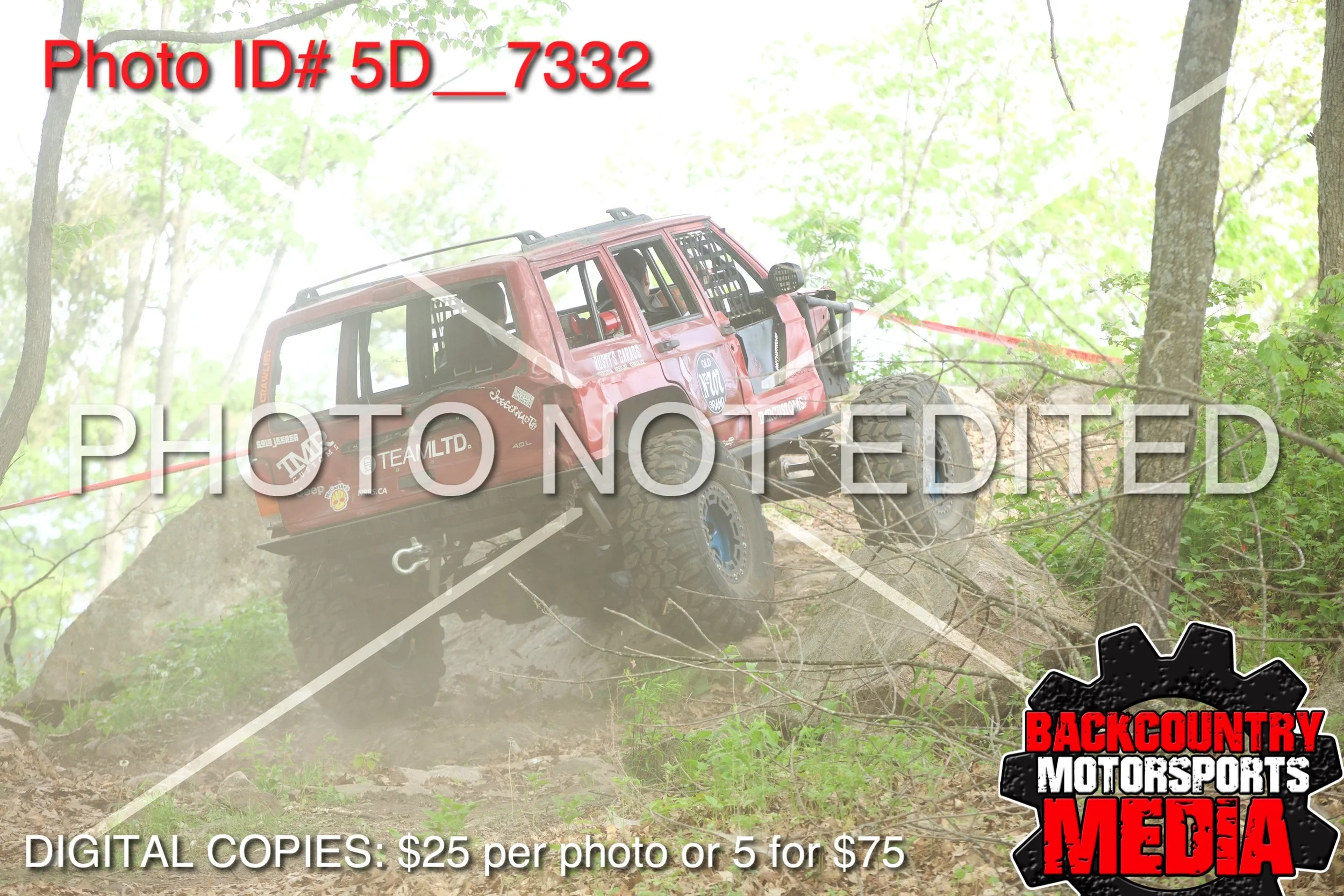 5D__7332.jpg