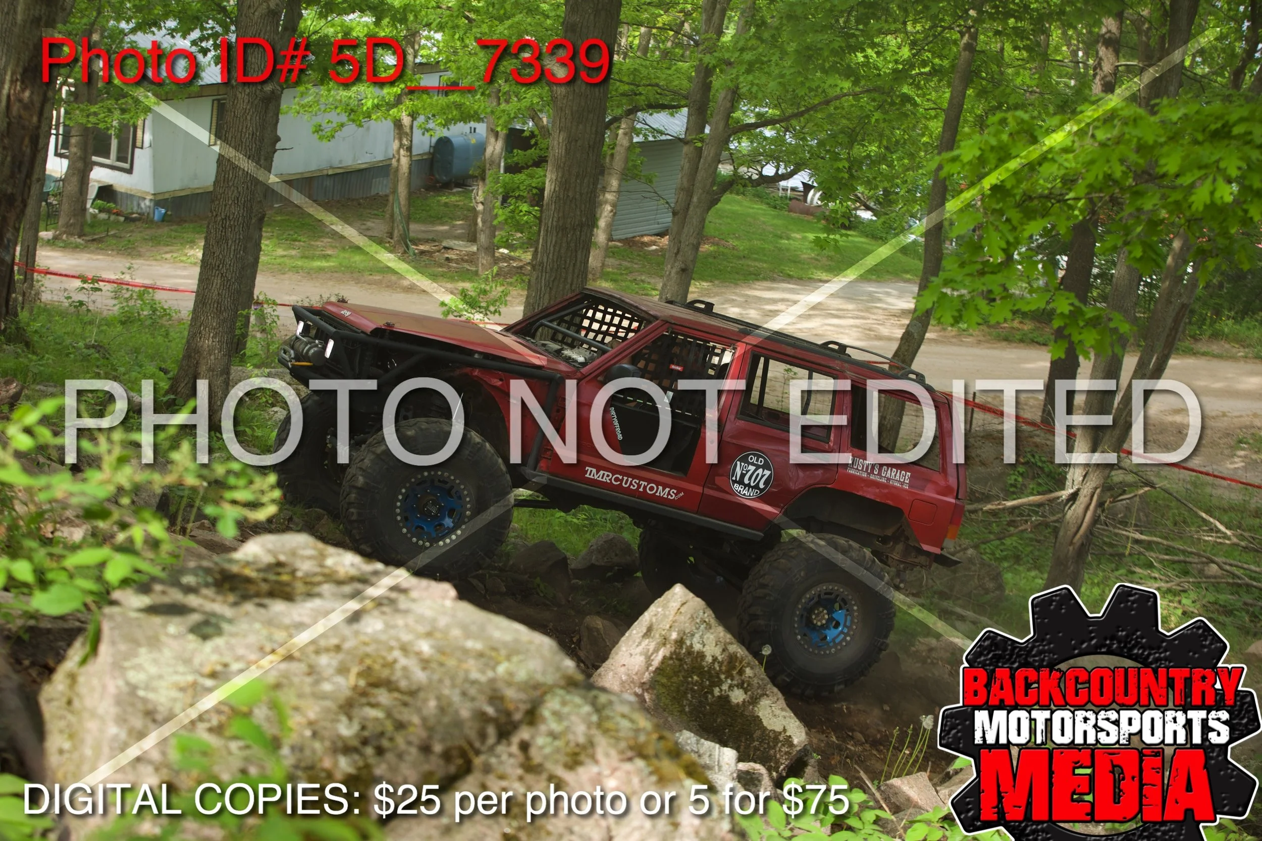 5D__7339.jpg