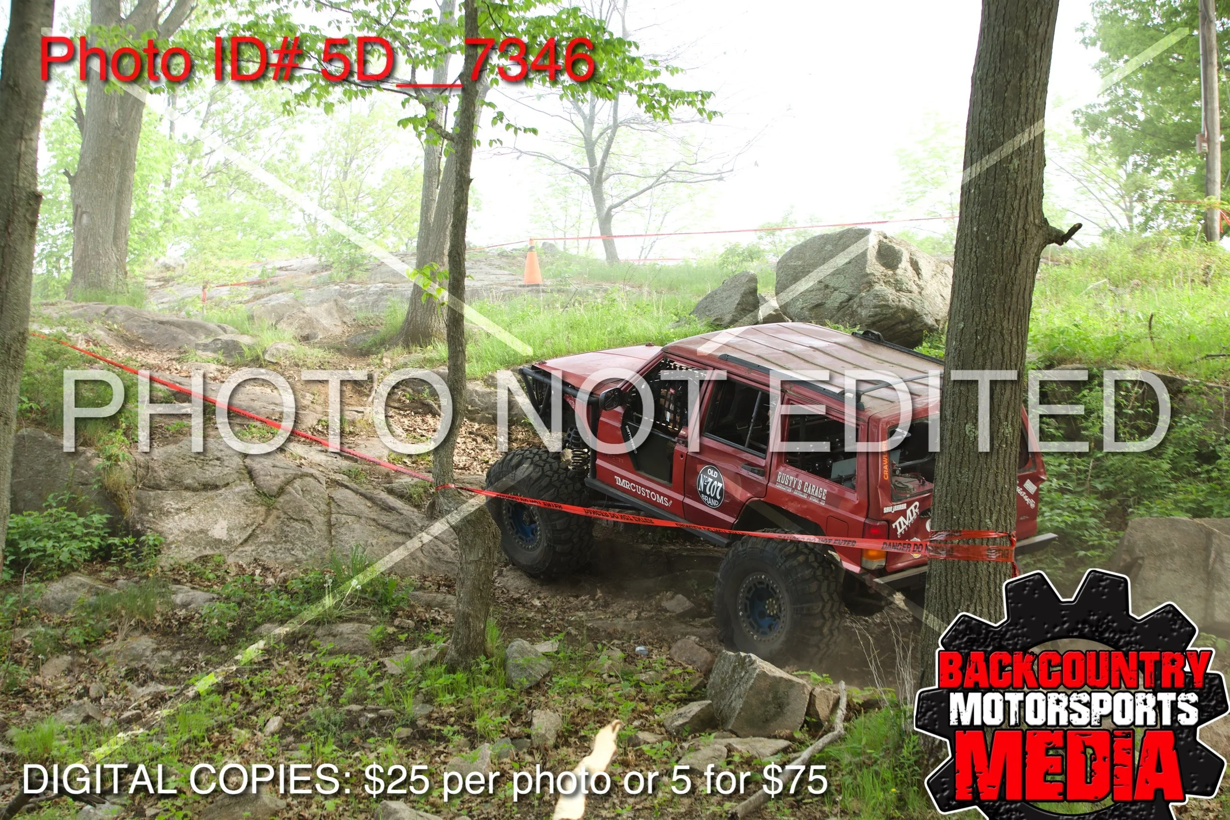 5D__7346.jpg