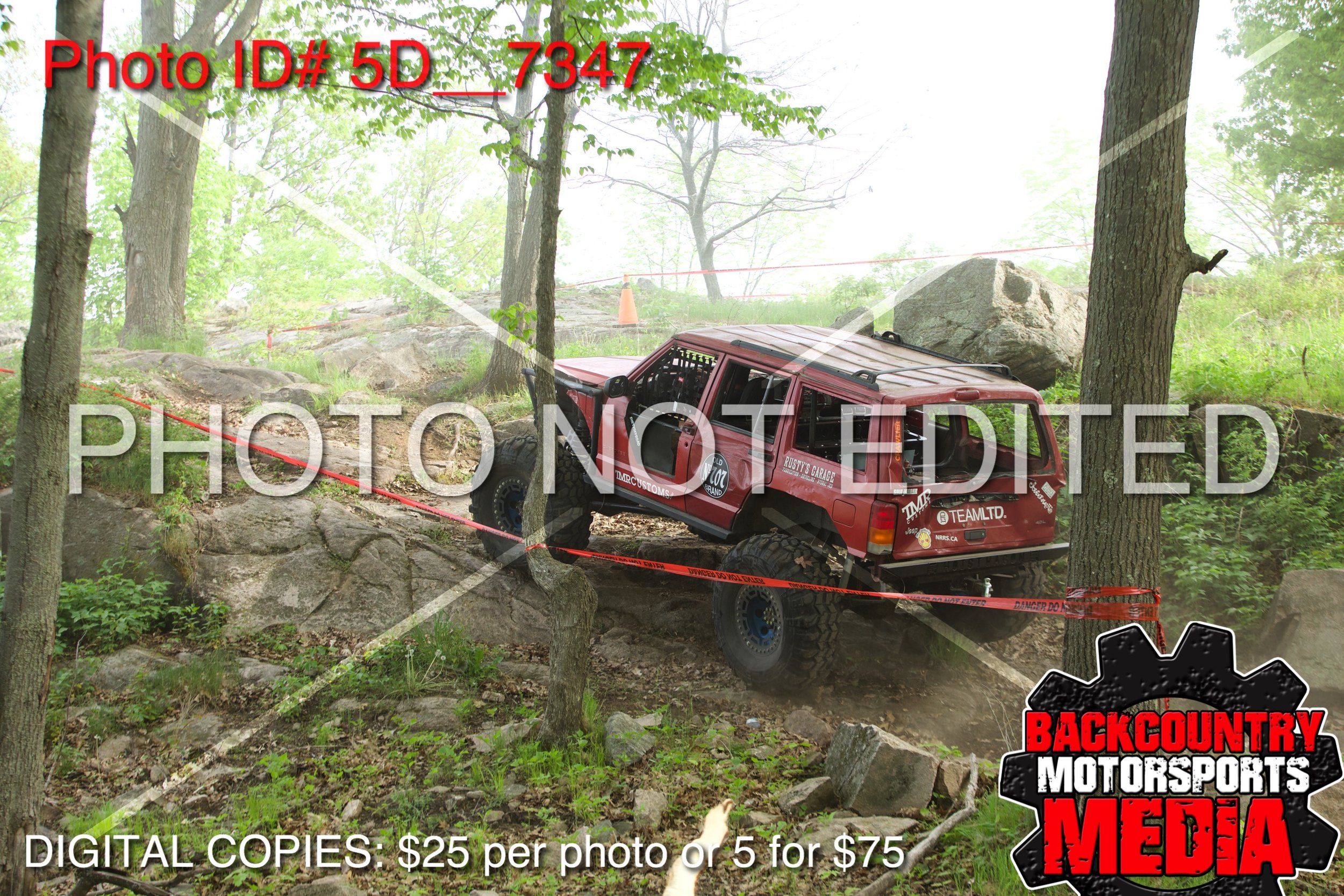 5D__7347.jpg