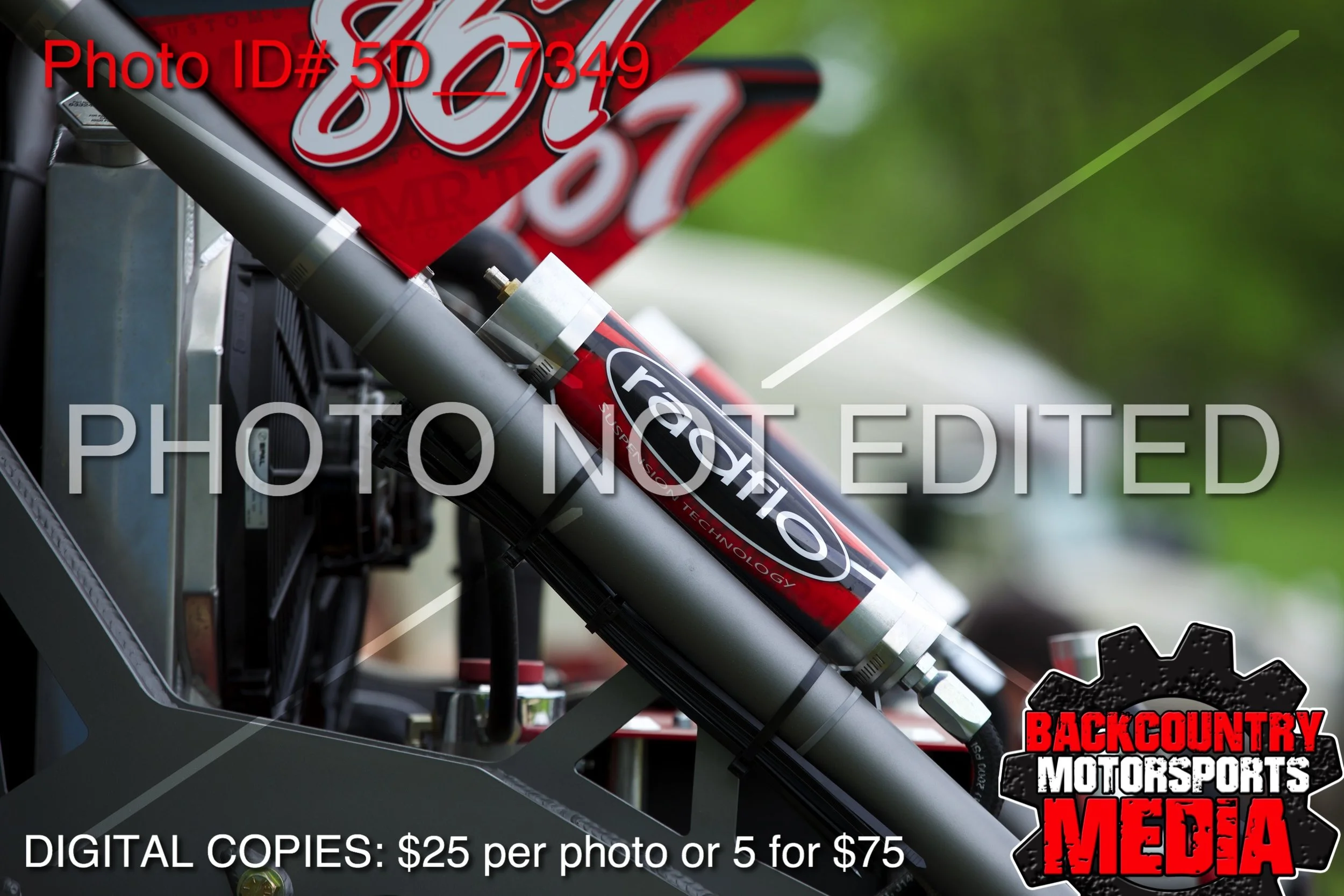 5D__7349.jpg