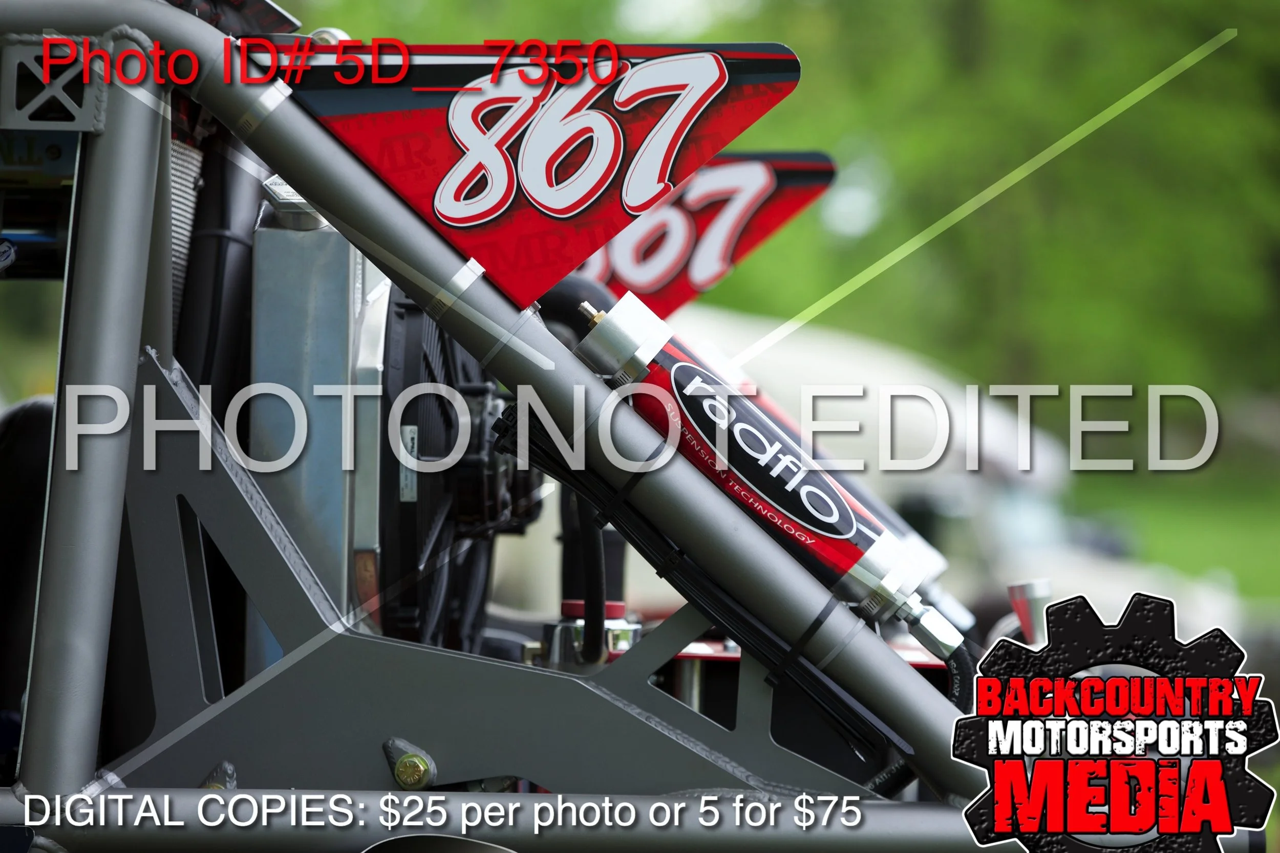 5D__7350.jpg