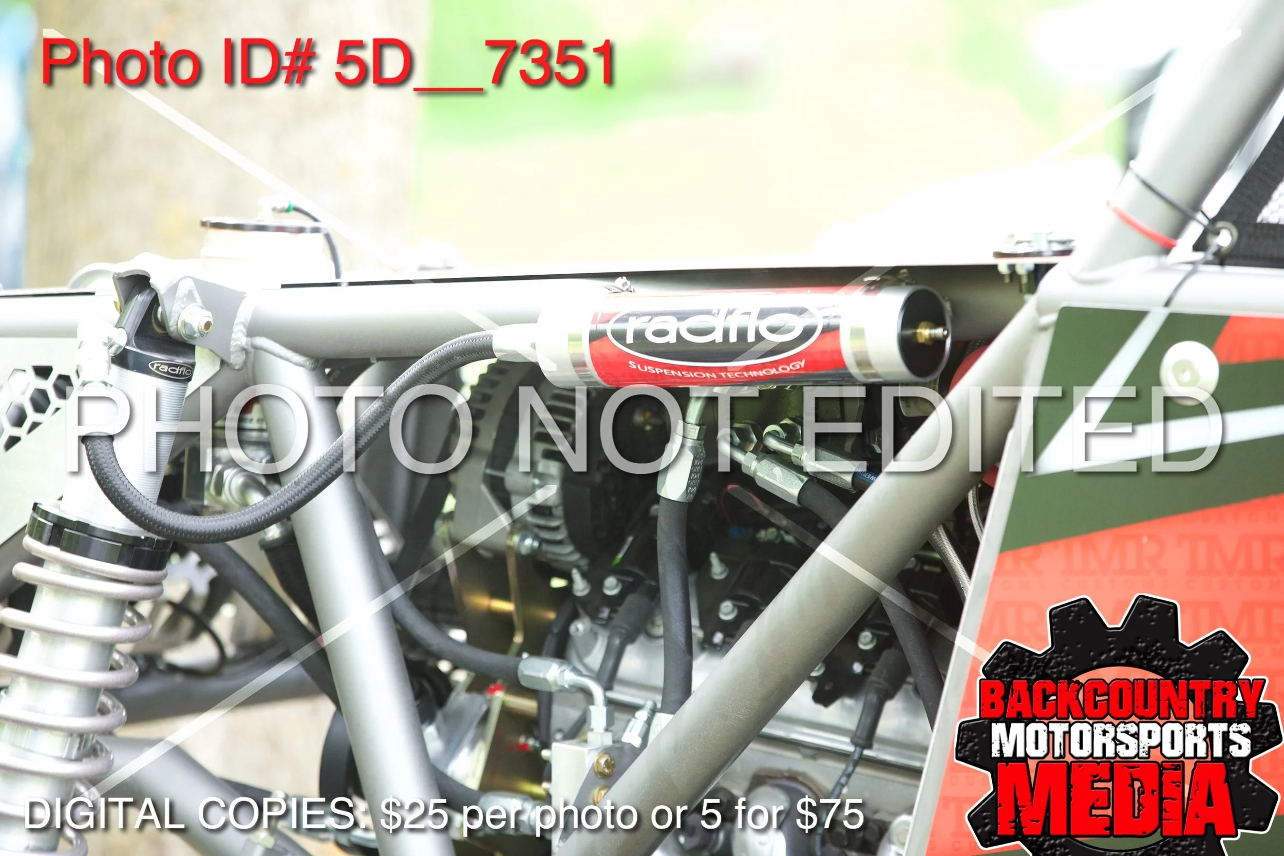 5D__7351.jpg