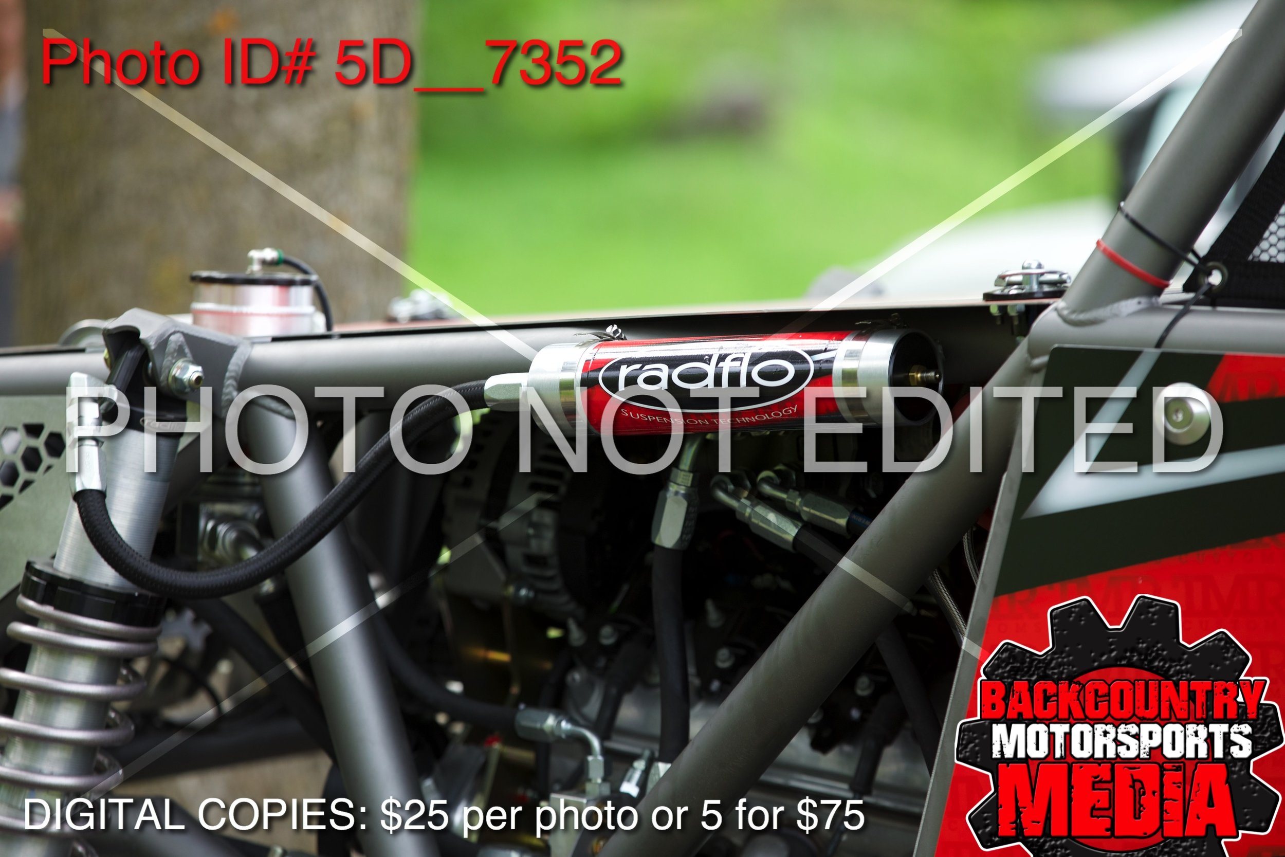 5D__7352.jpg