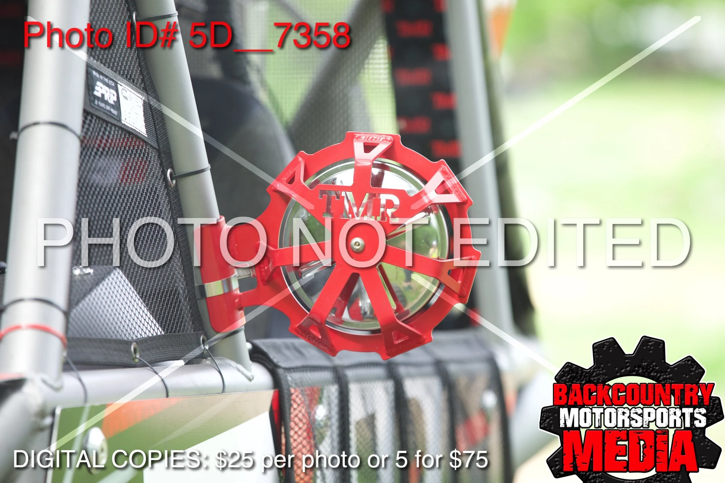 5D__7358.jpg