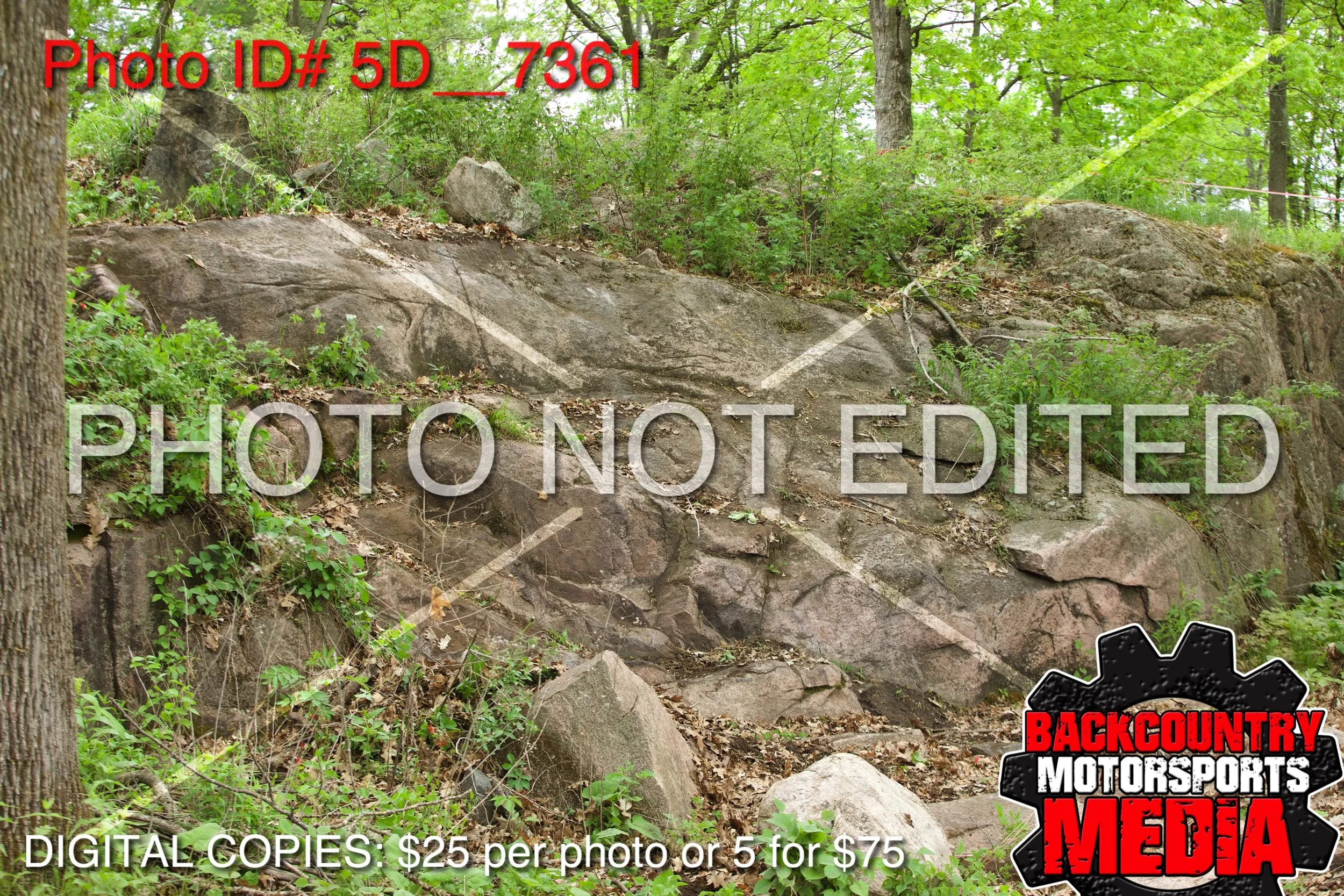5D__7361.jpg