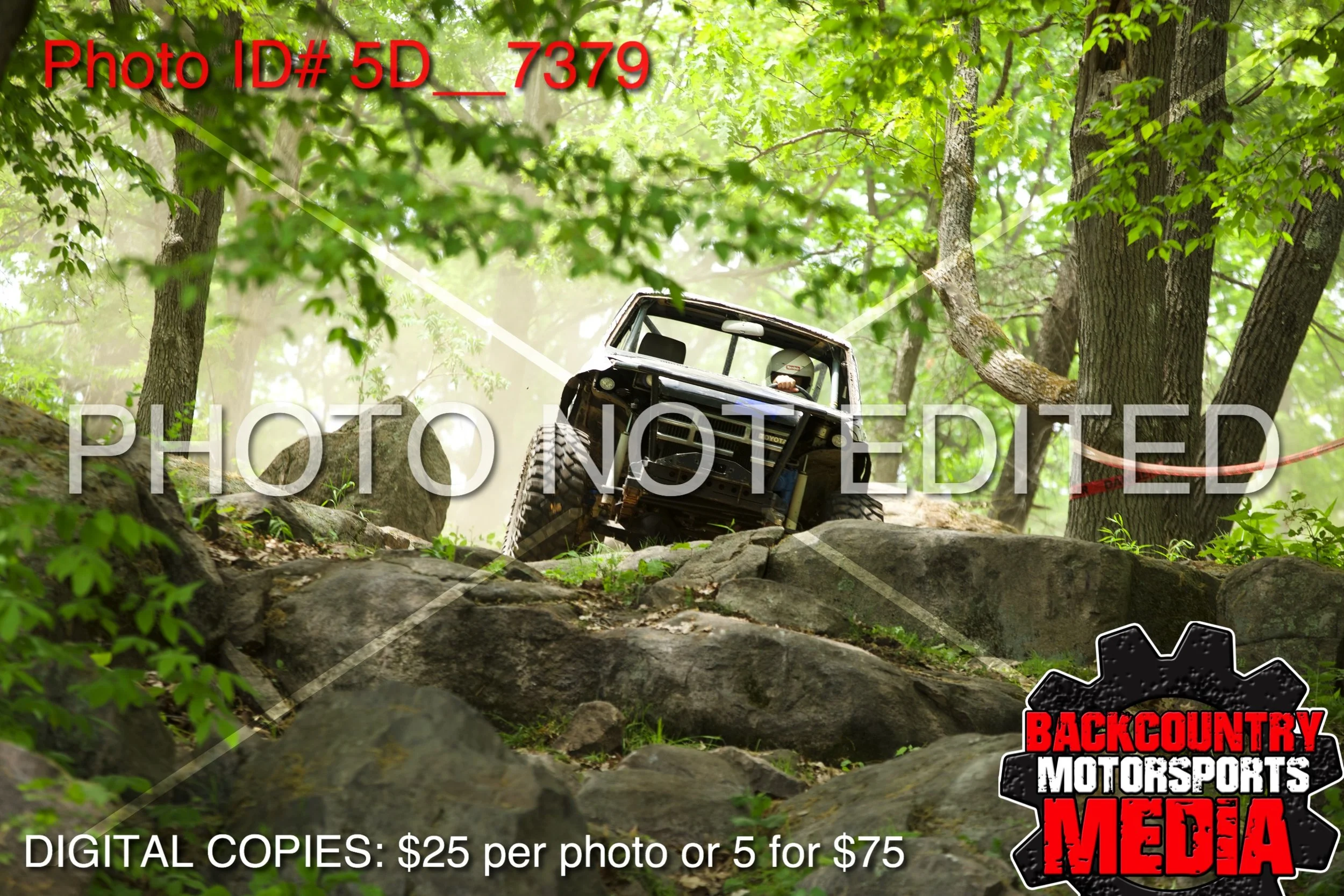 5D__7379.jpg