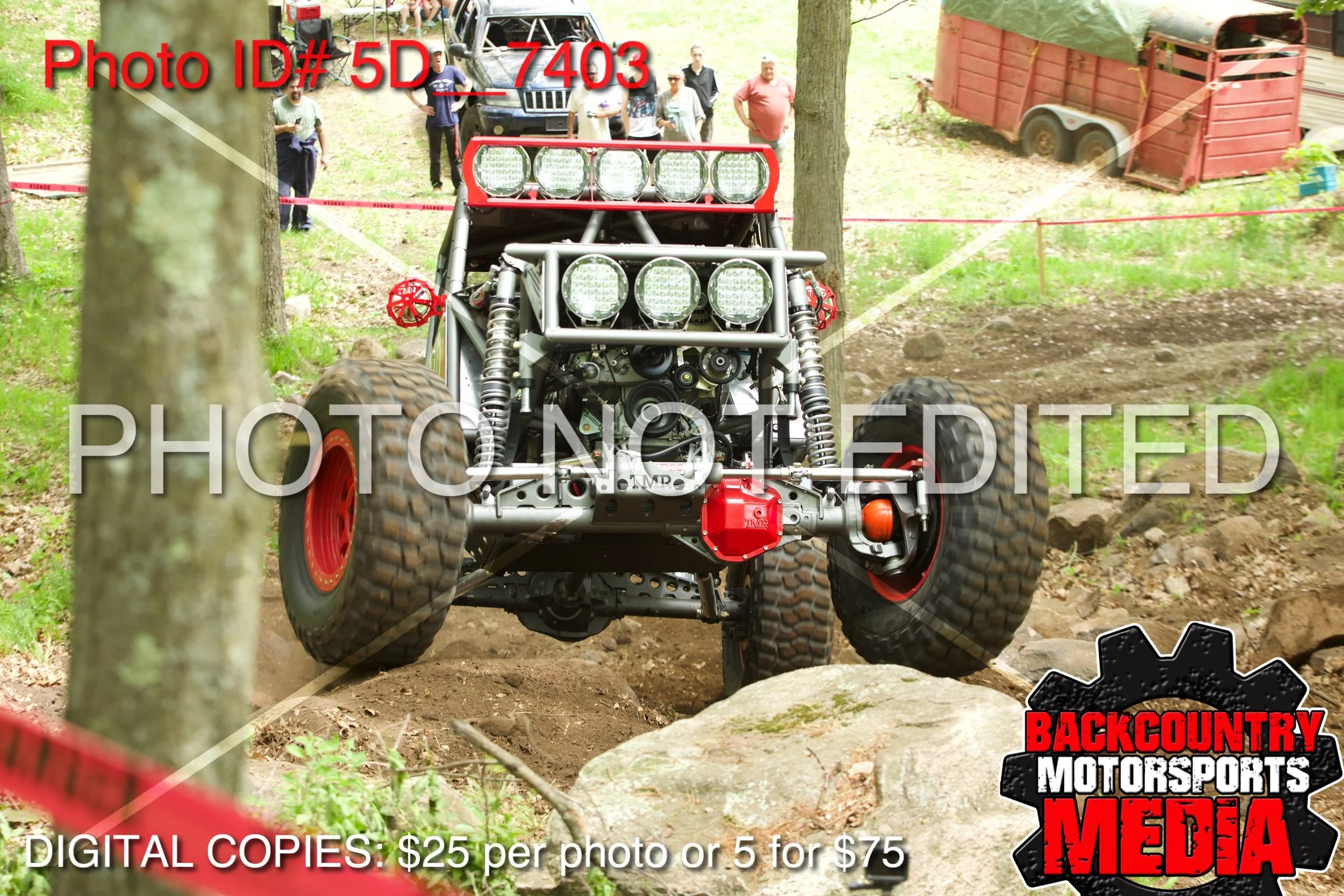 5D__7403.jpg