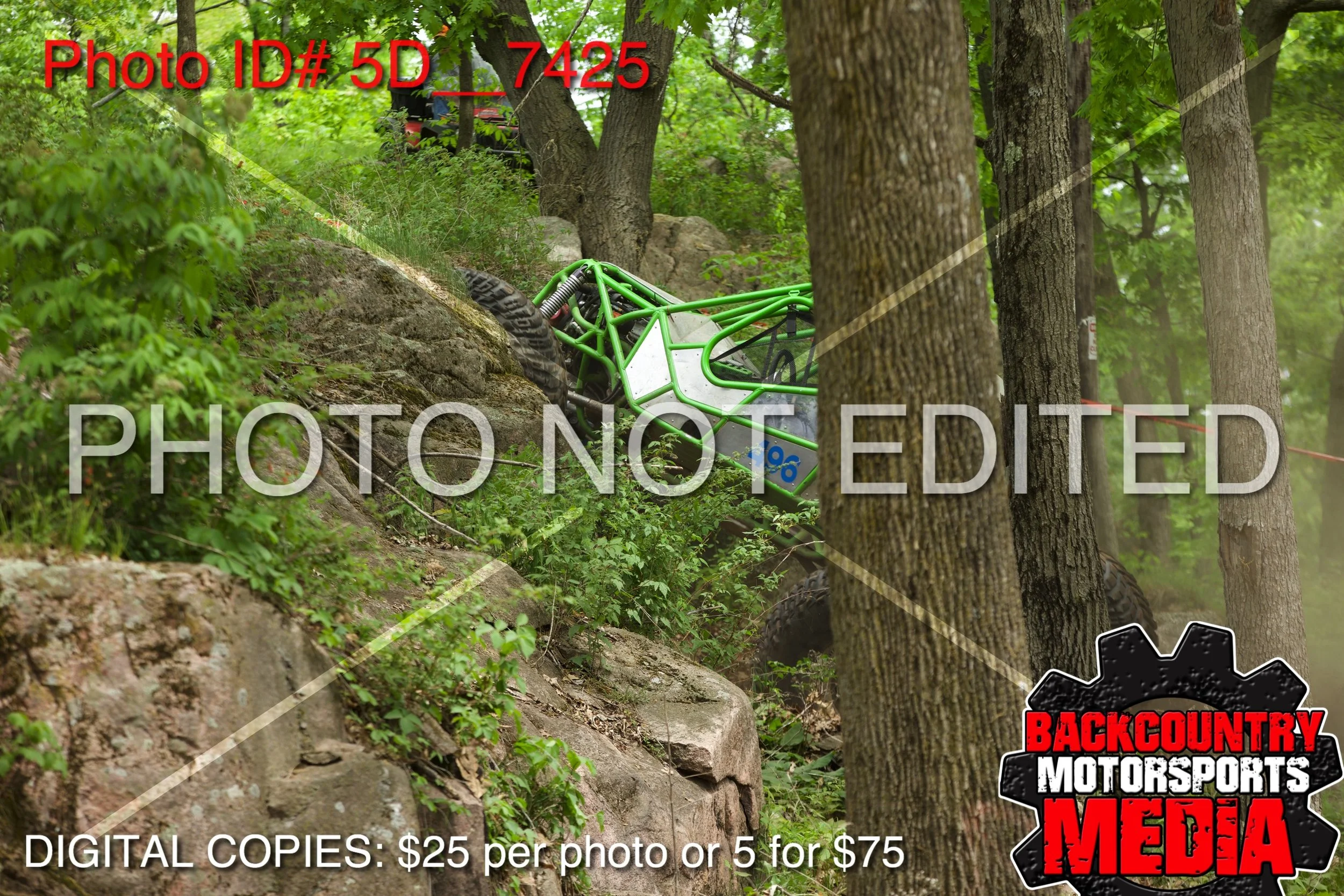 5D__7425.jpg
