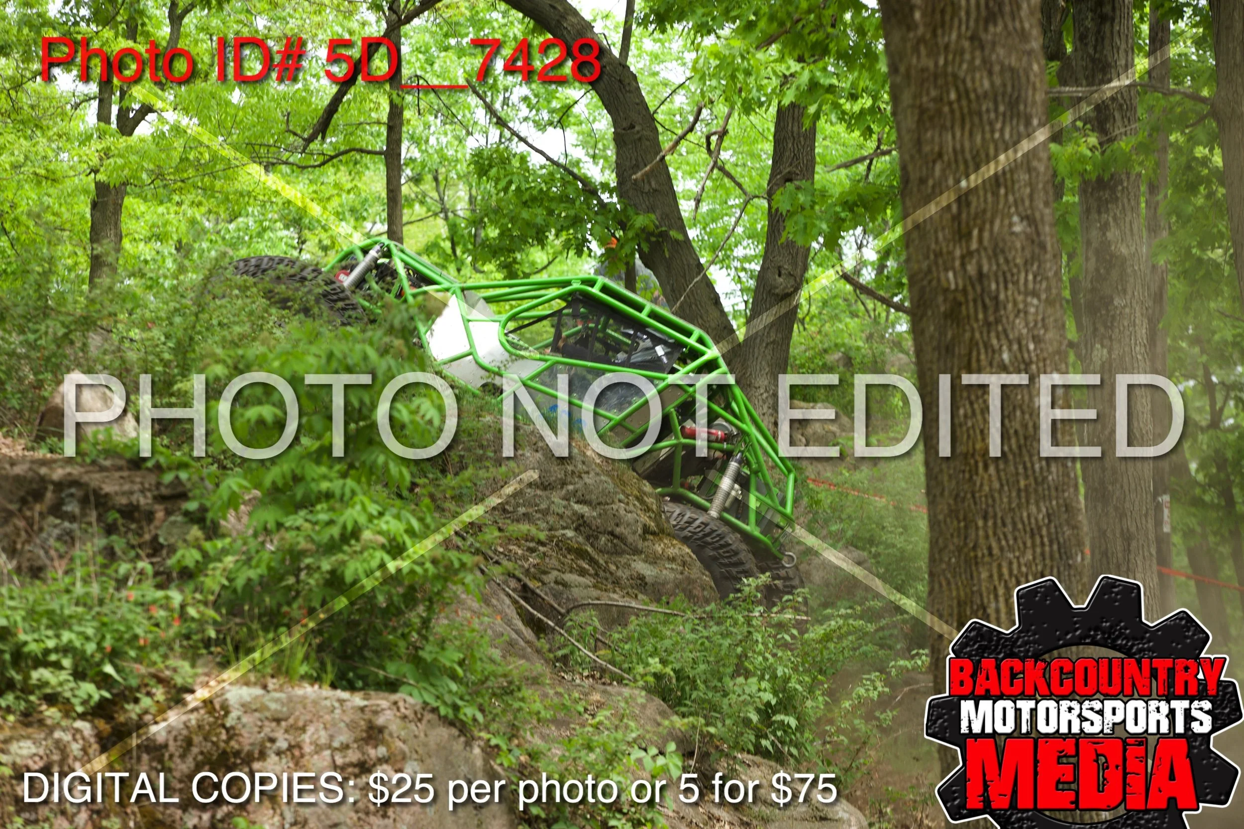 5D__7428.jpg