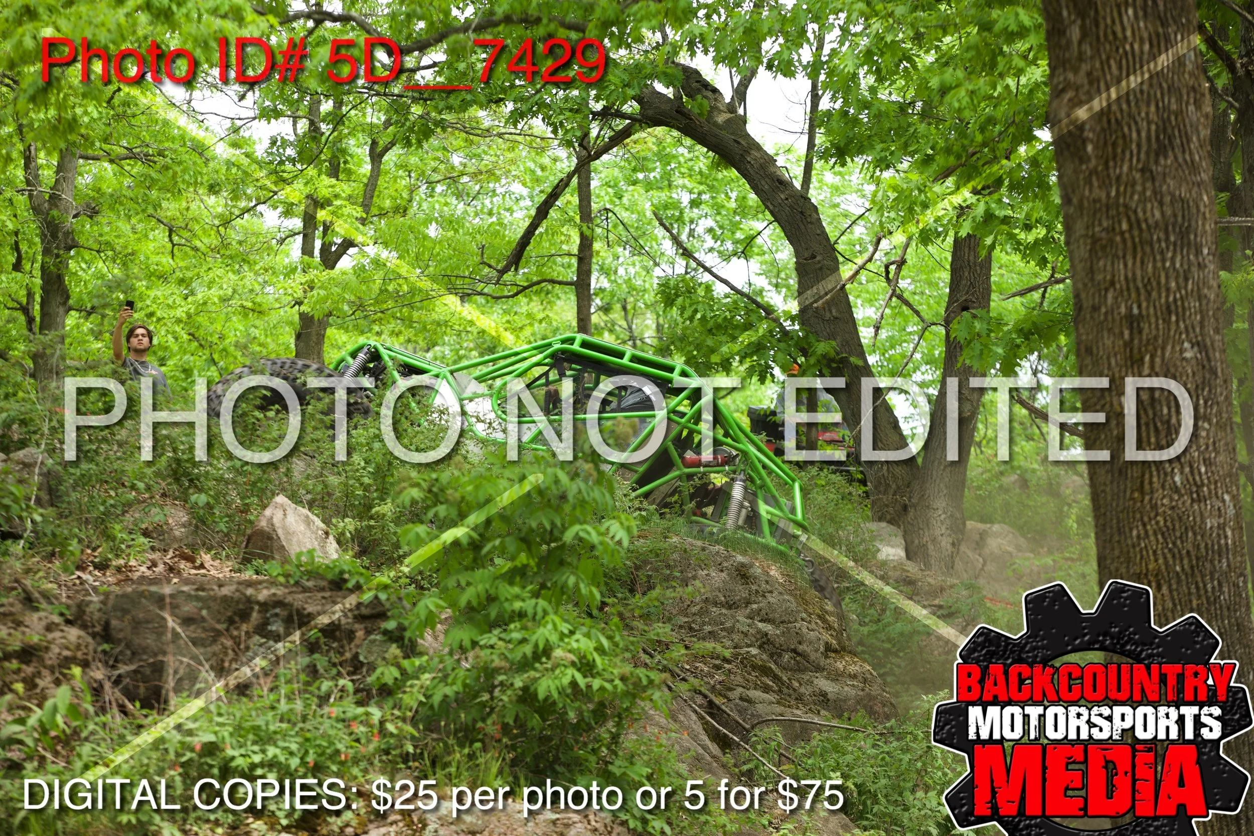 5D__7429.jpg