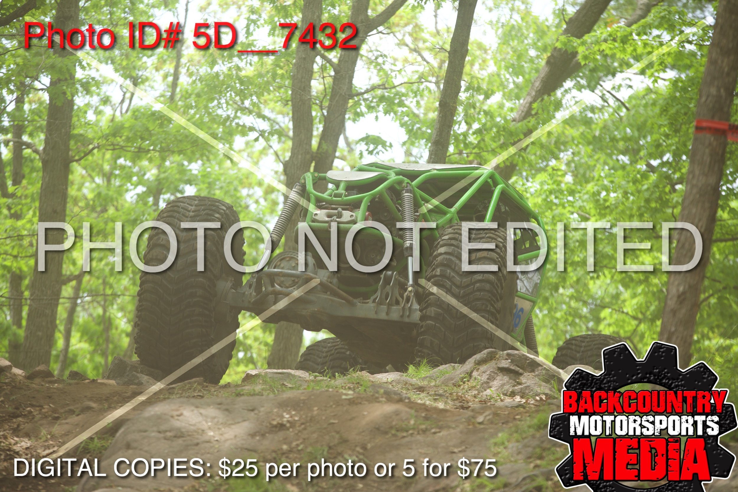 5D__7432.jpg