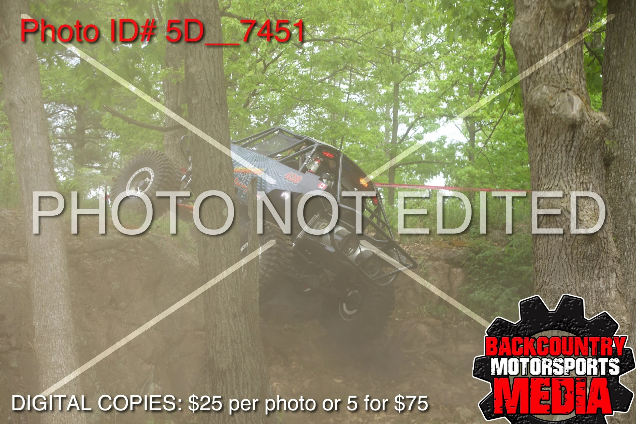 5D__7451.jpg