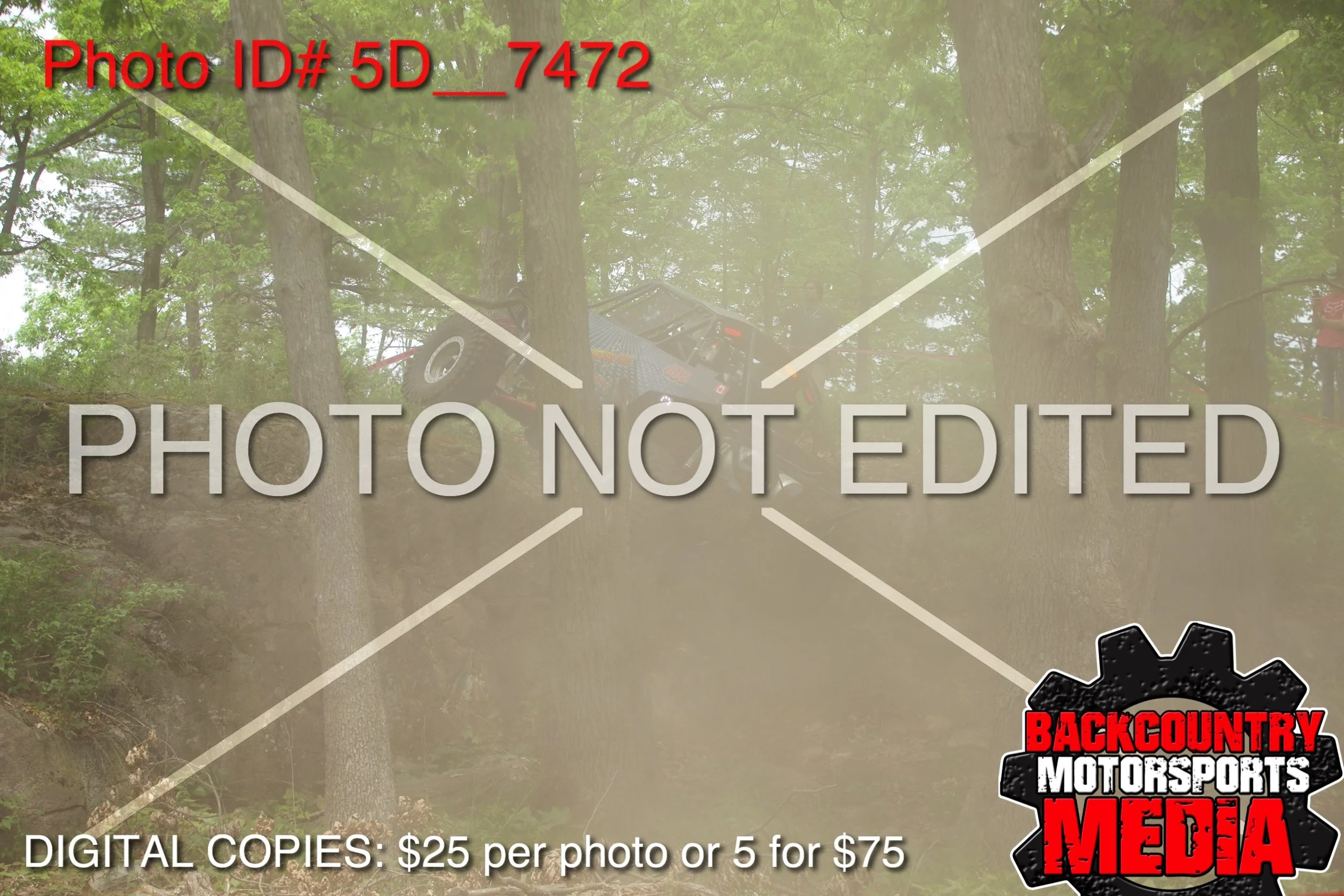 5D__7472.jpg