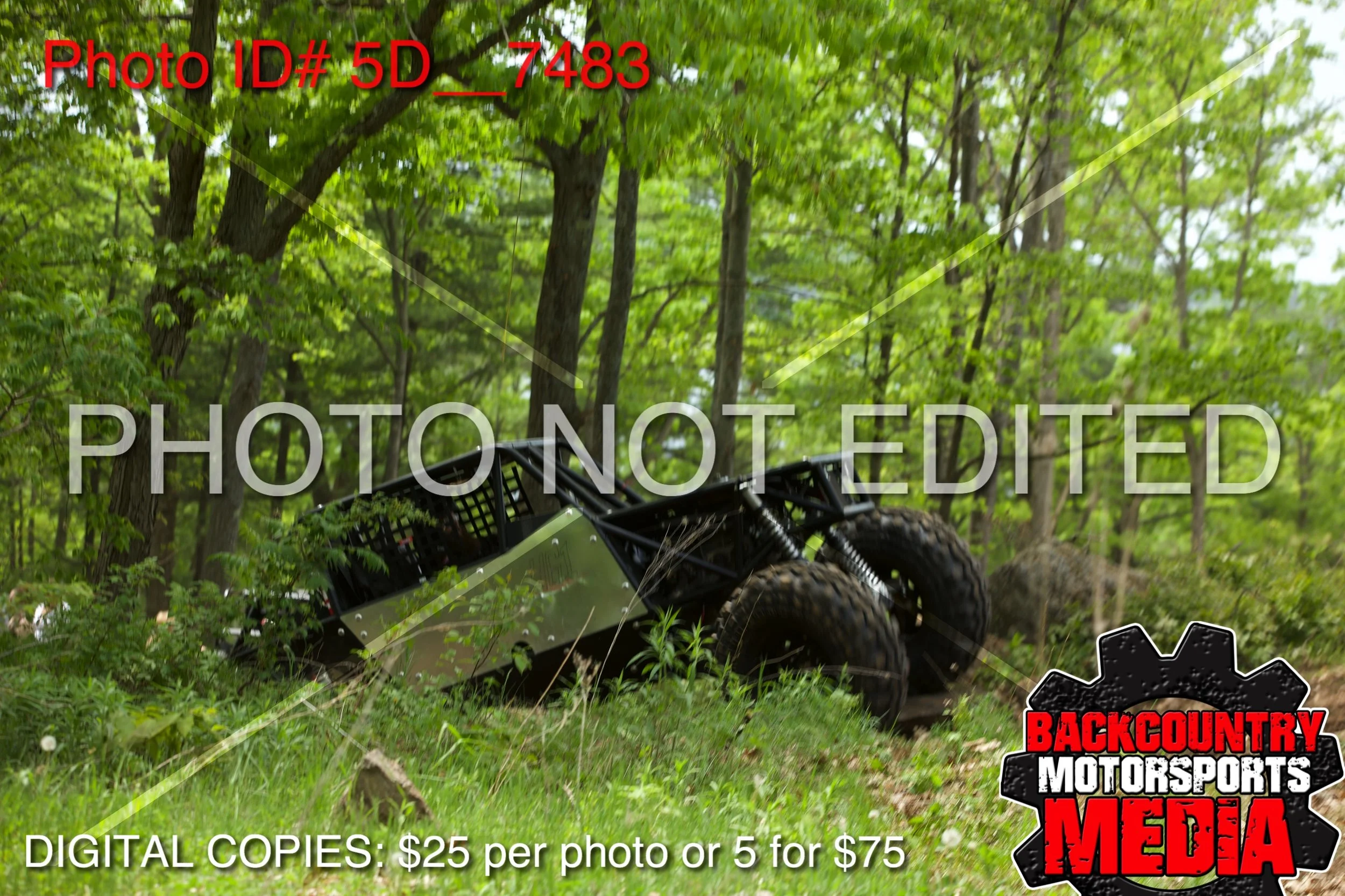 5D__7483.jpg