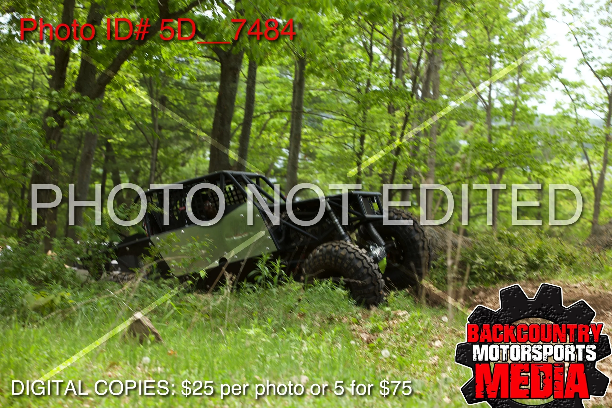 5D__7484.jpg