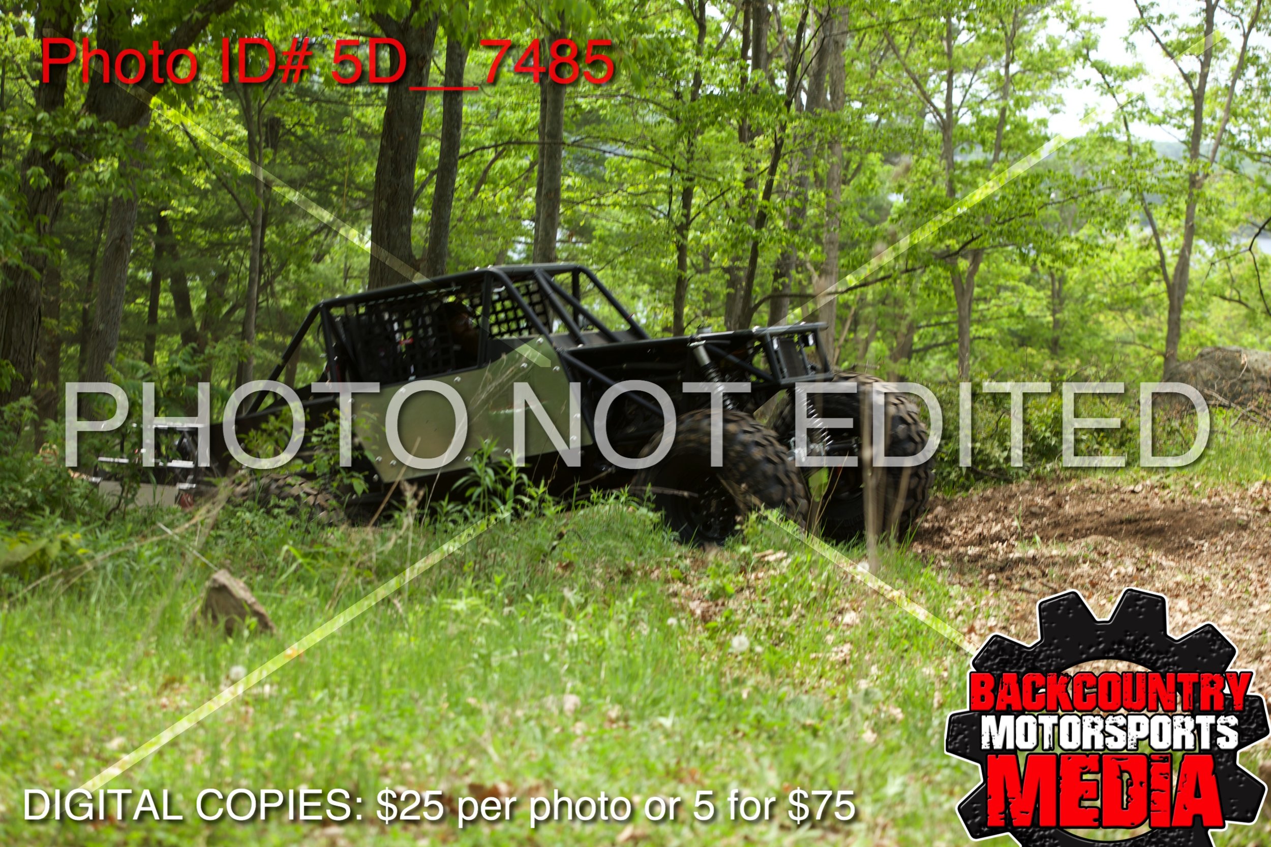 5D__7485.jpg