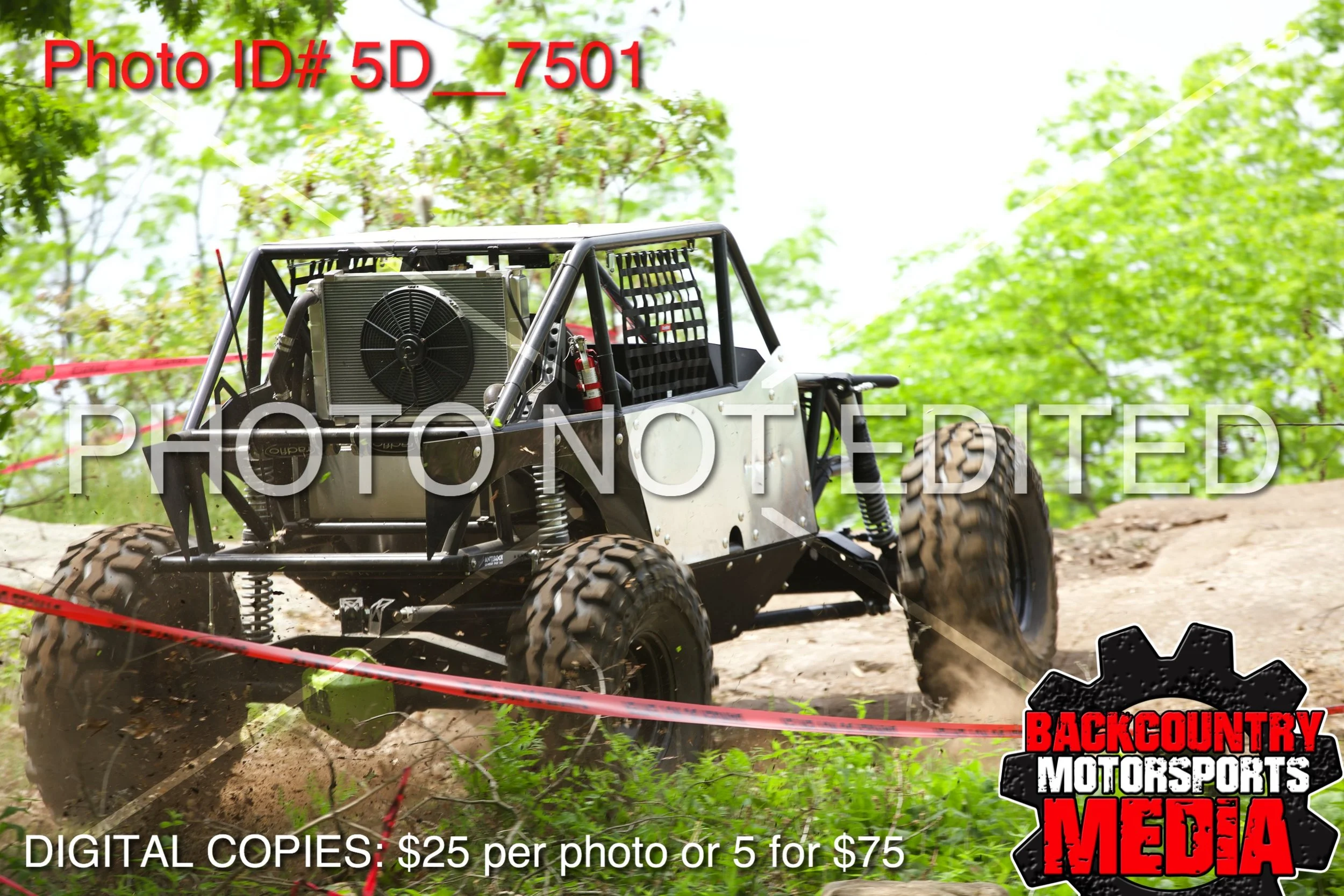 5D__7501.jpg