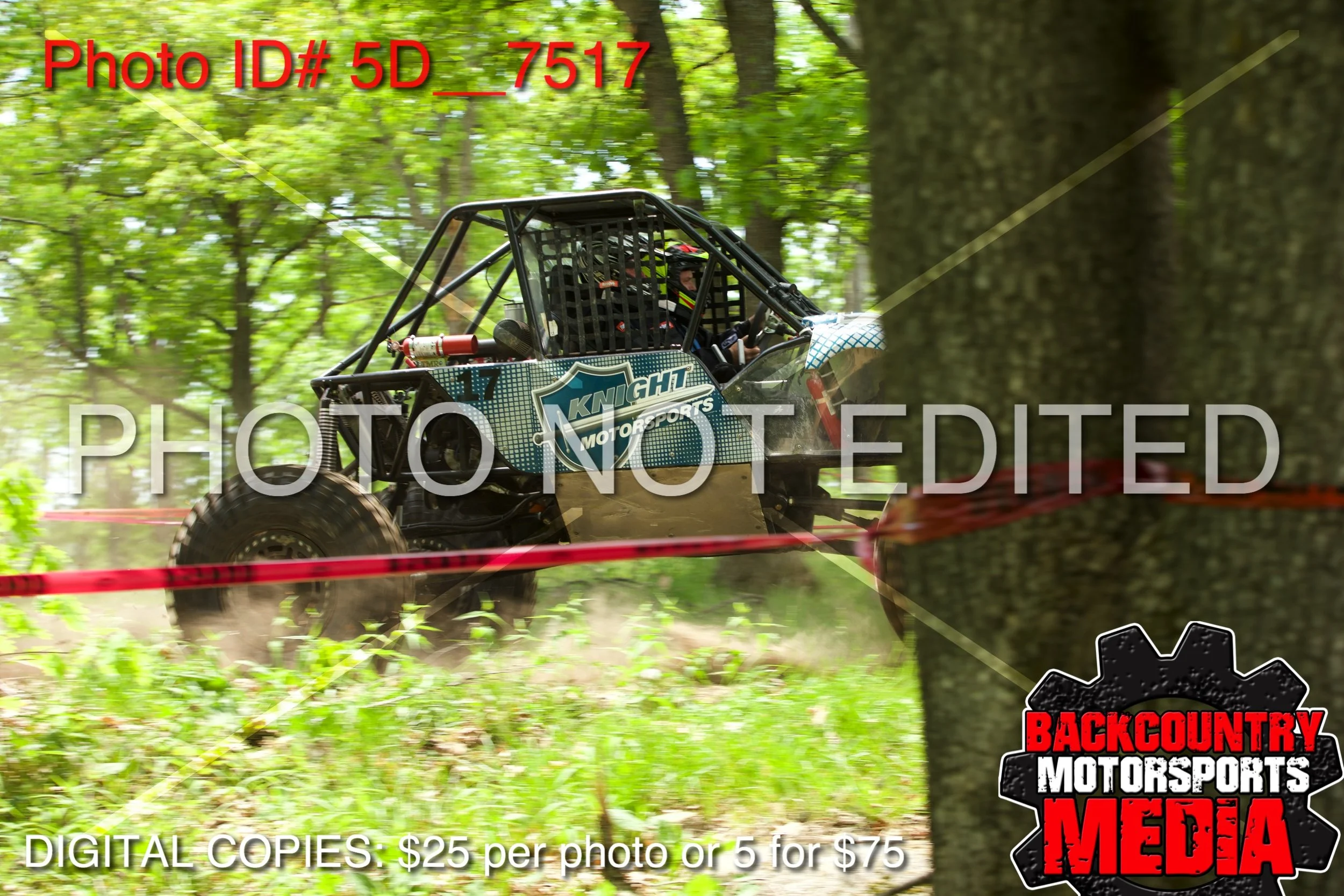 5D__7517.jpg