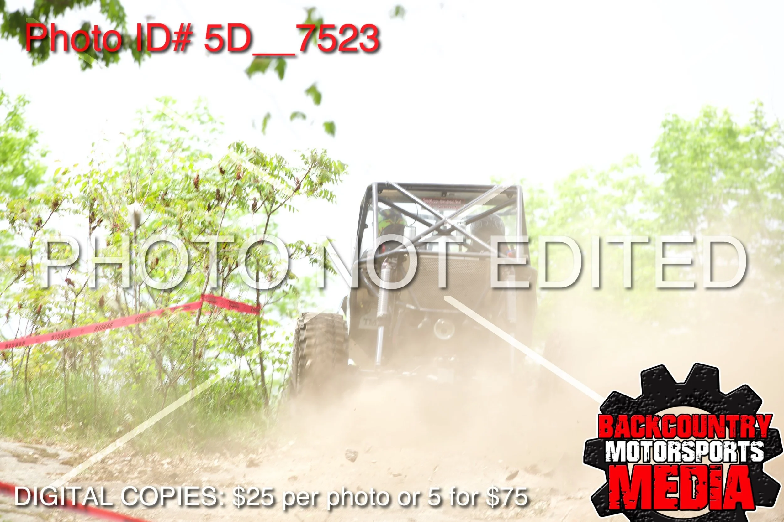 5D__7523.jpg
