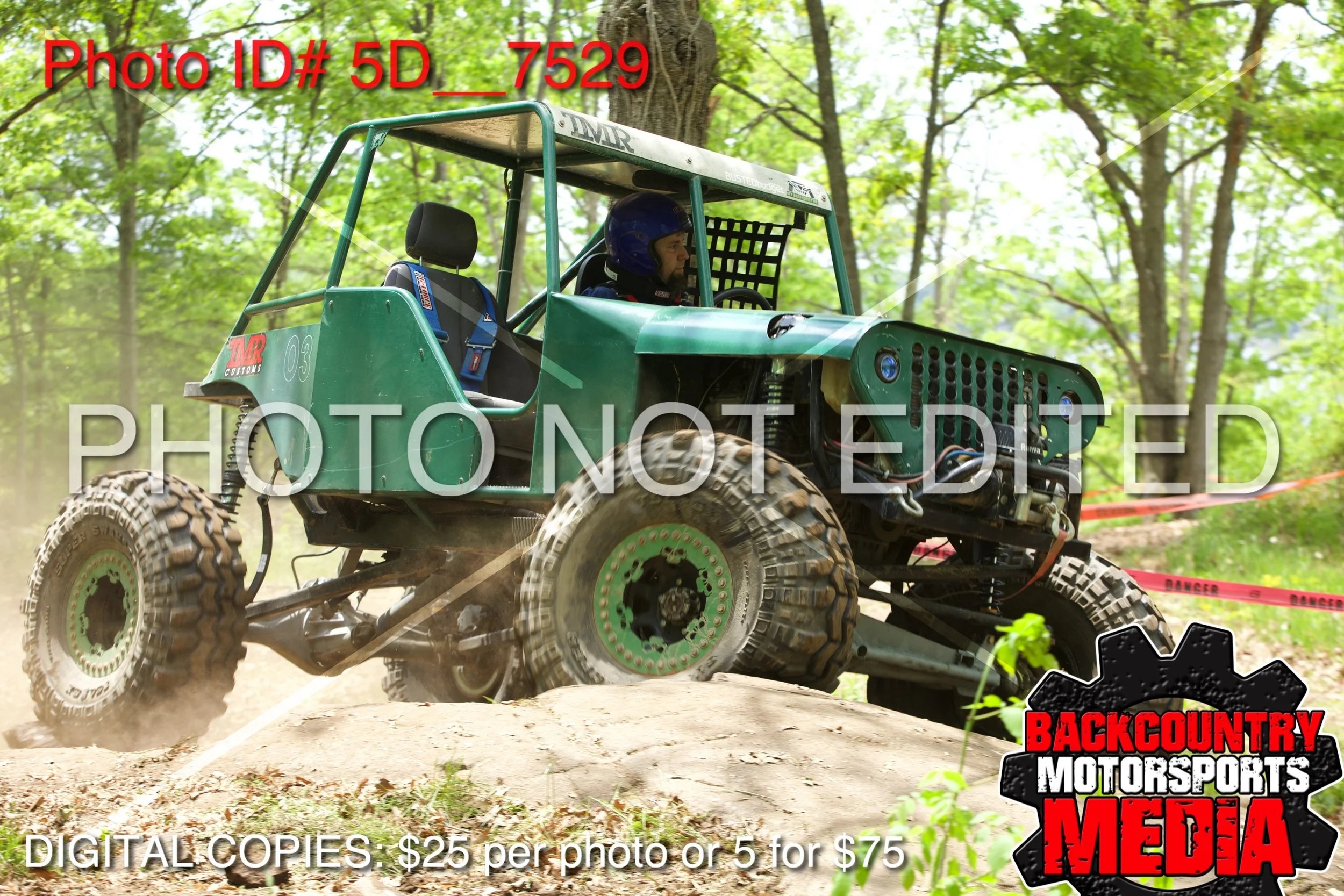5D__7529.jpg