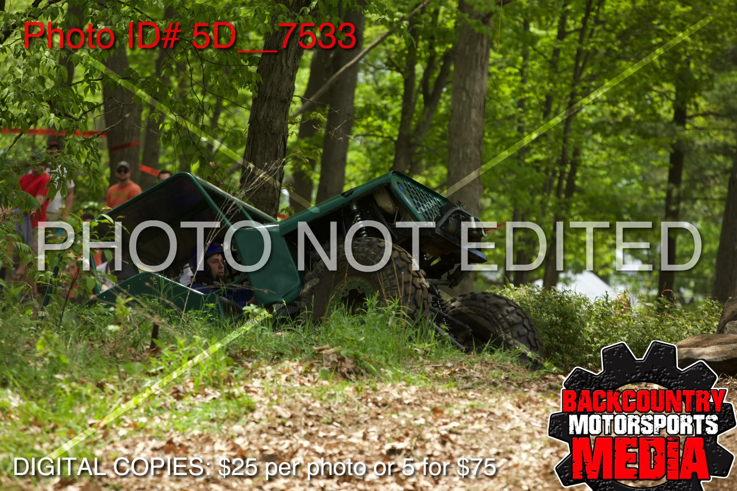 5D__7533.jpg