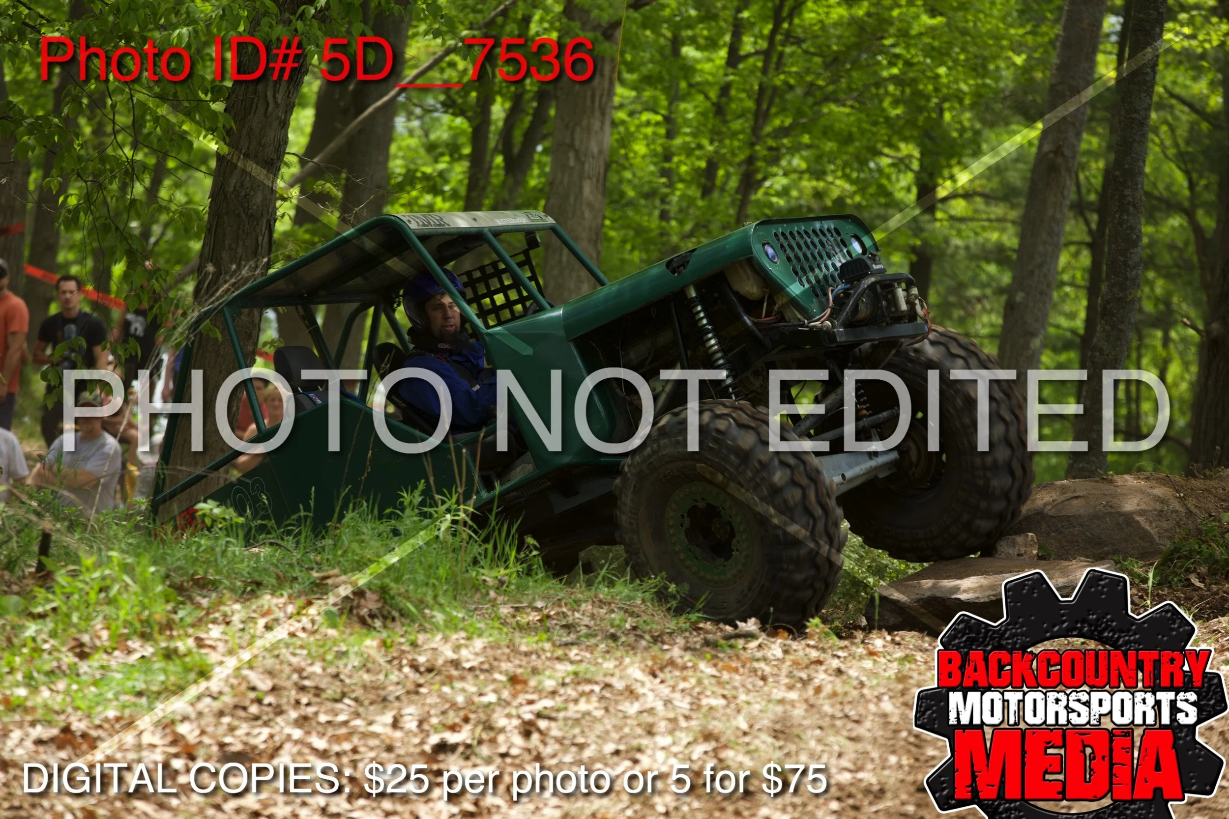 5D__7536.jpg