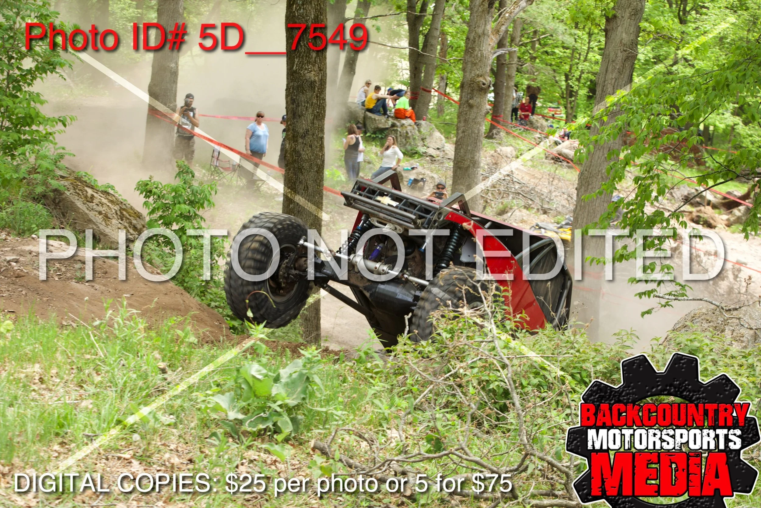 5D__7549.jpg