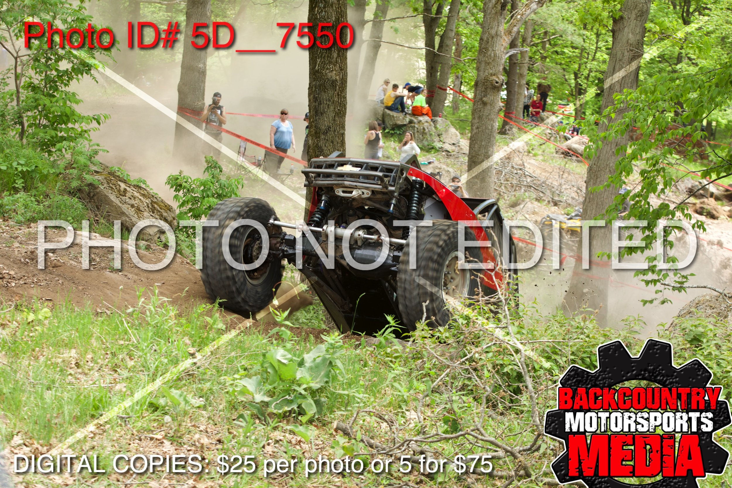 5D__7550.jpg