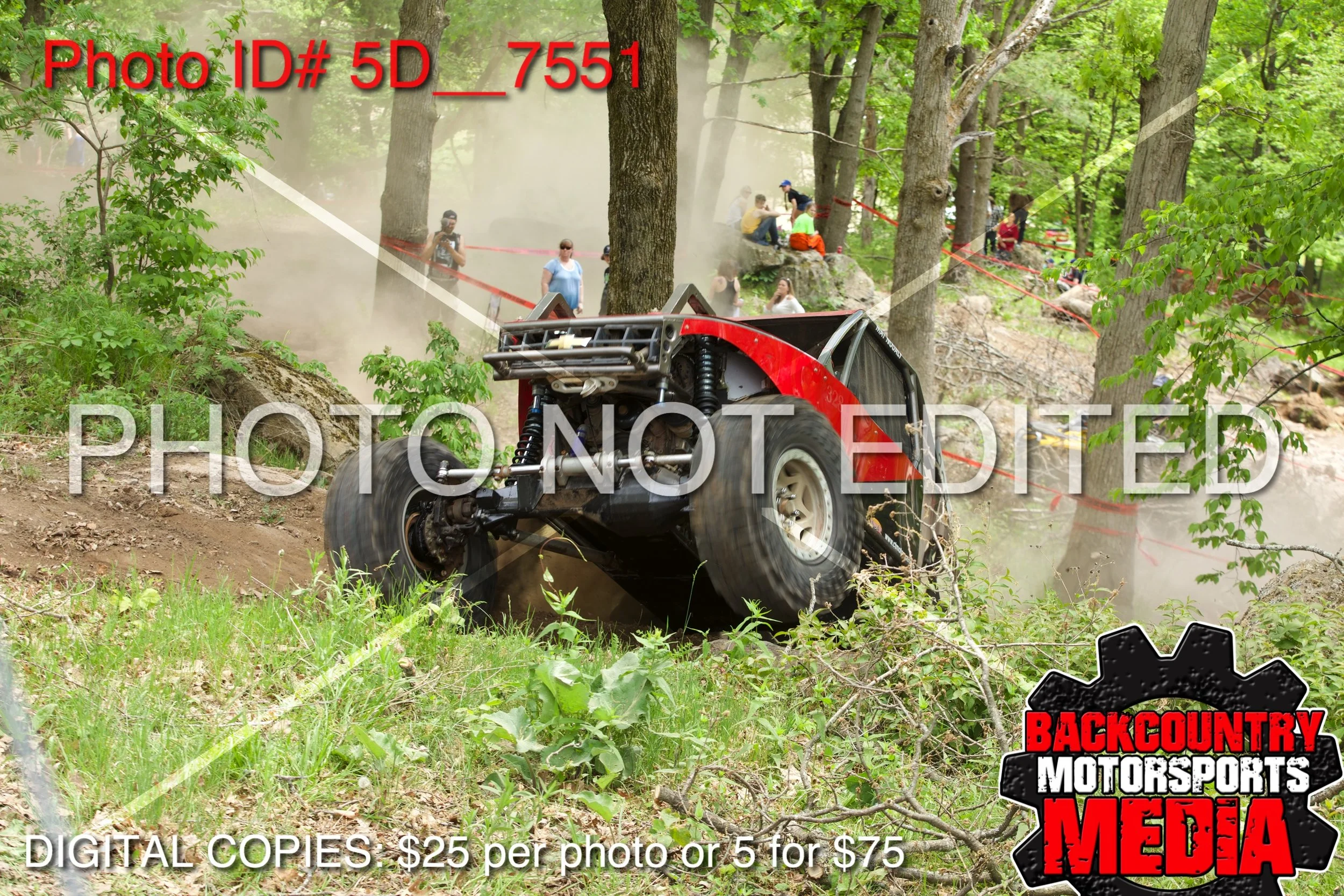5D__7551.jpg
