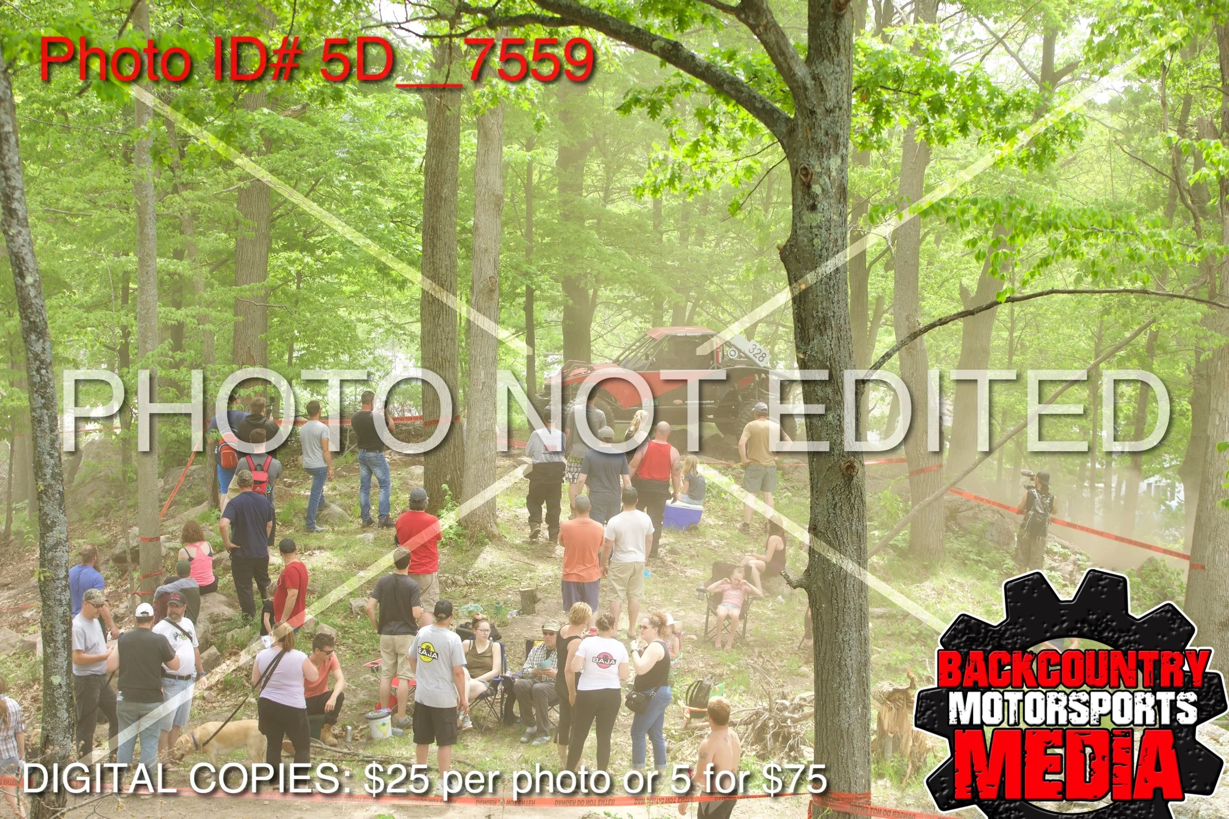5D__7559.jpg