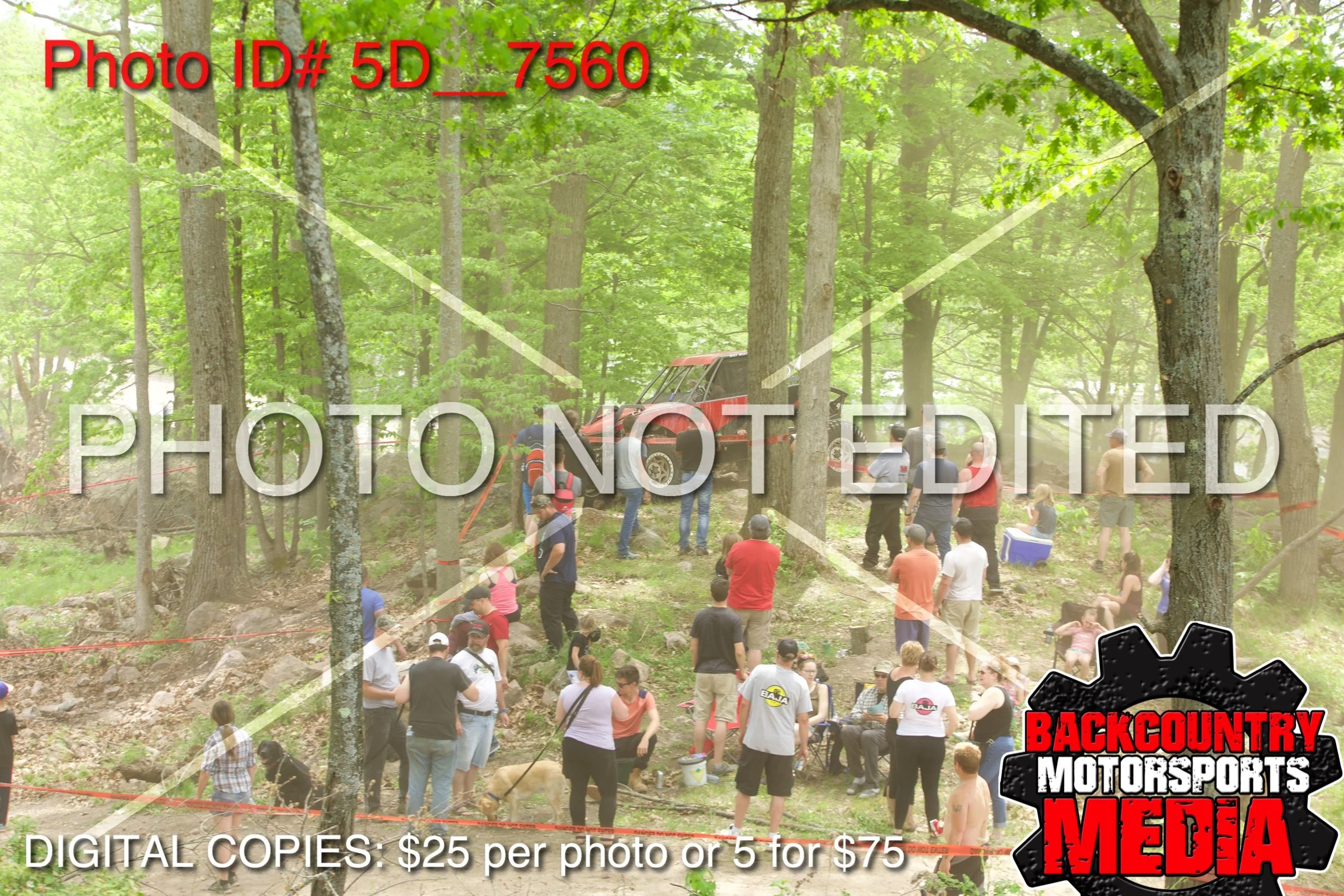 5D__7560.jpg