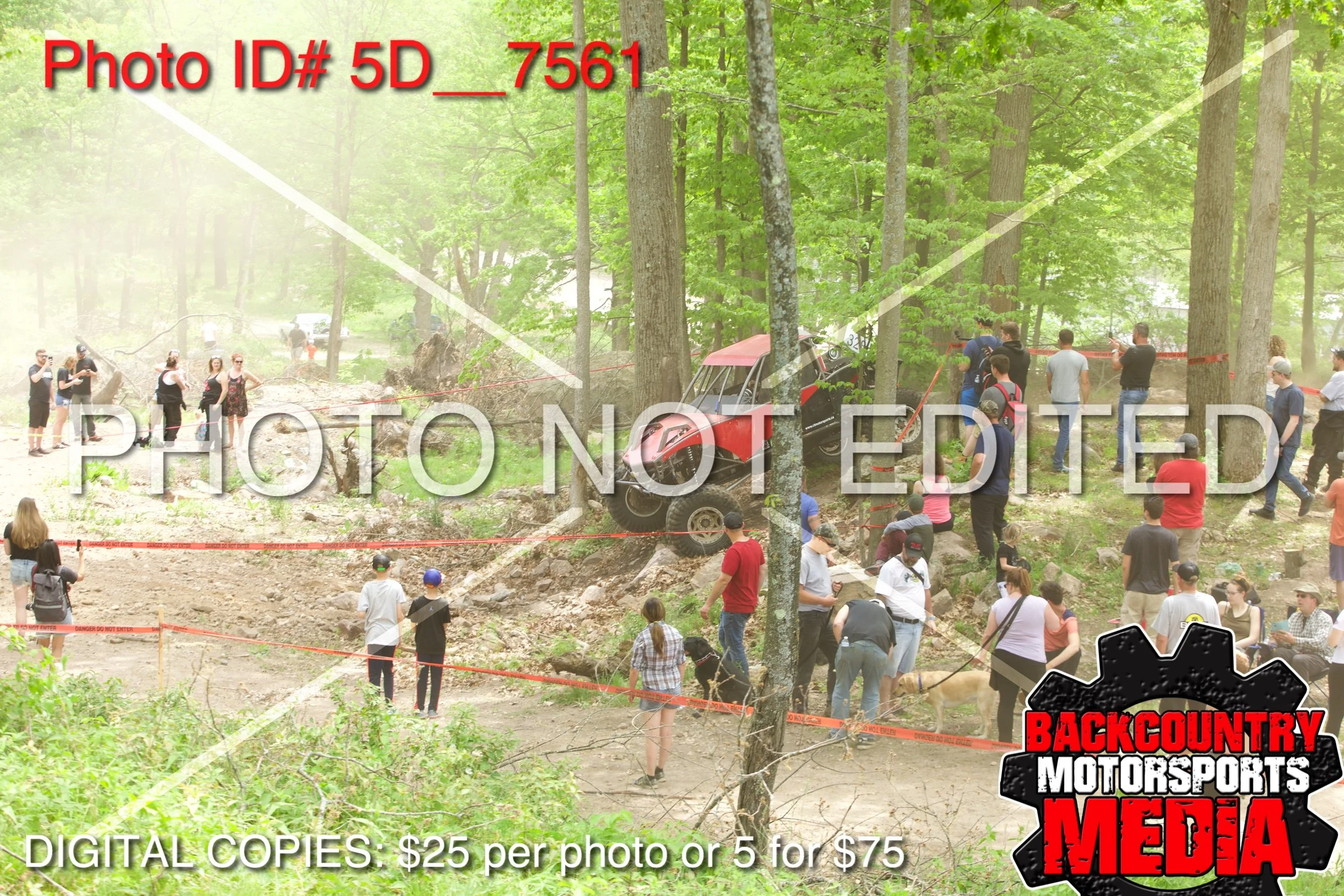 5D__7561.jpg