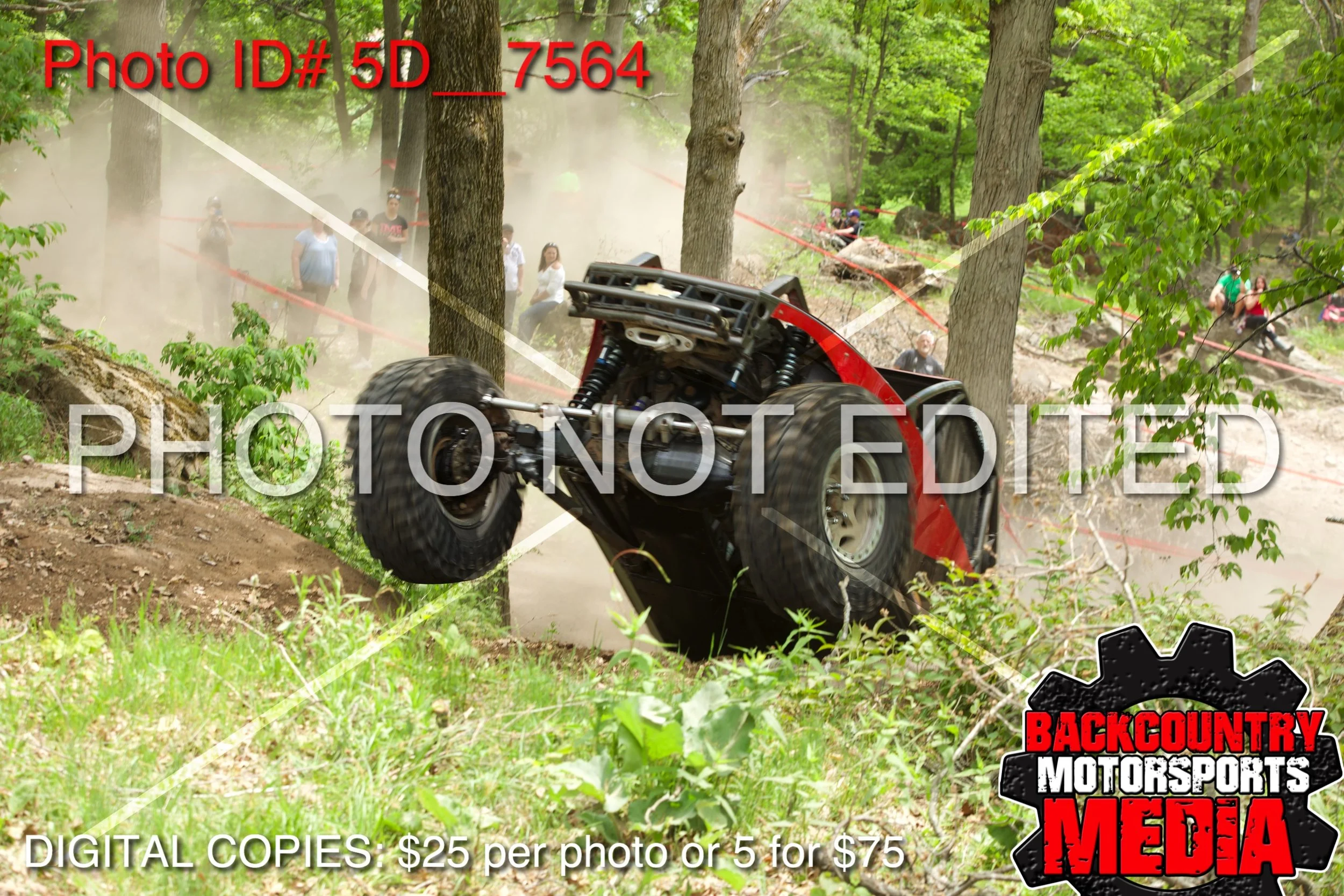 5D__7564.jpg