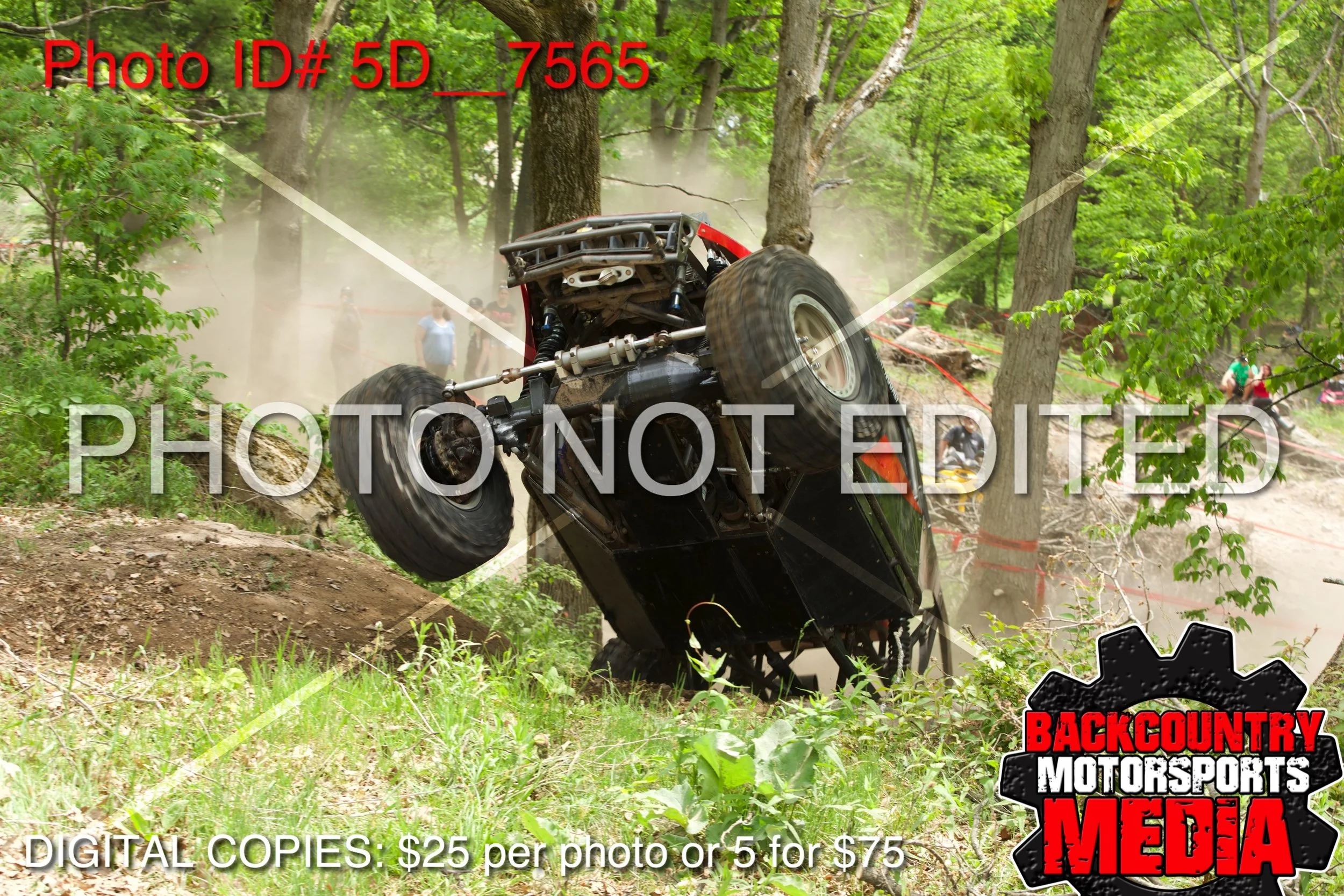 5D__7565.jpg