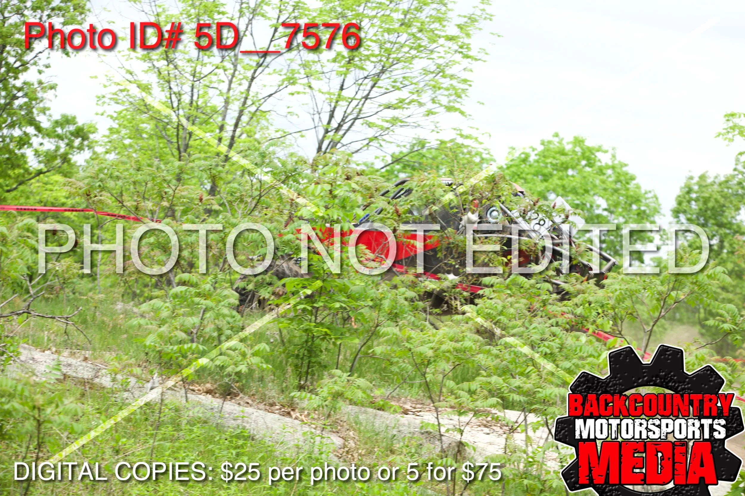 5D__7576.jpg