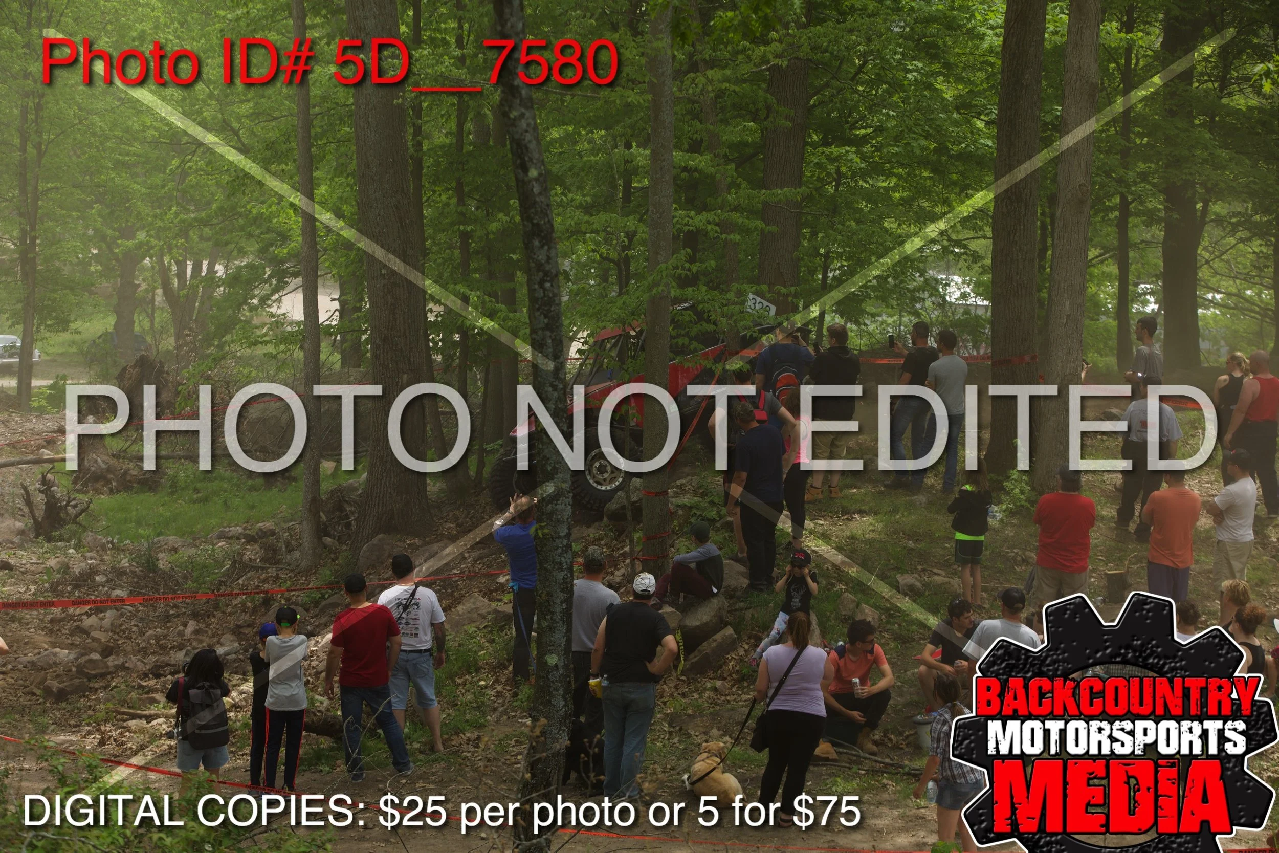 5D__7580.jpg